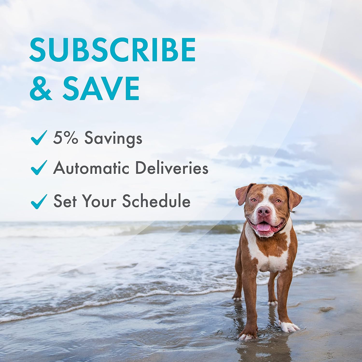 Nutramax Welactin Omega-3 Soft Chews for Dogs, Skin & Coat Health, 60ct