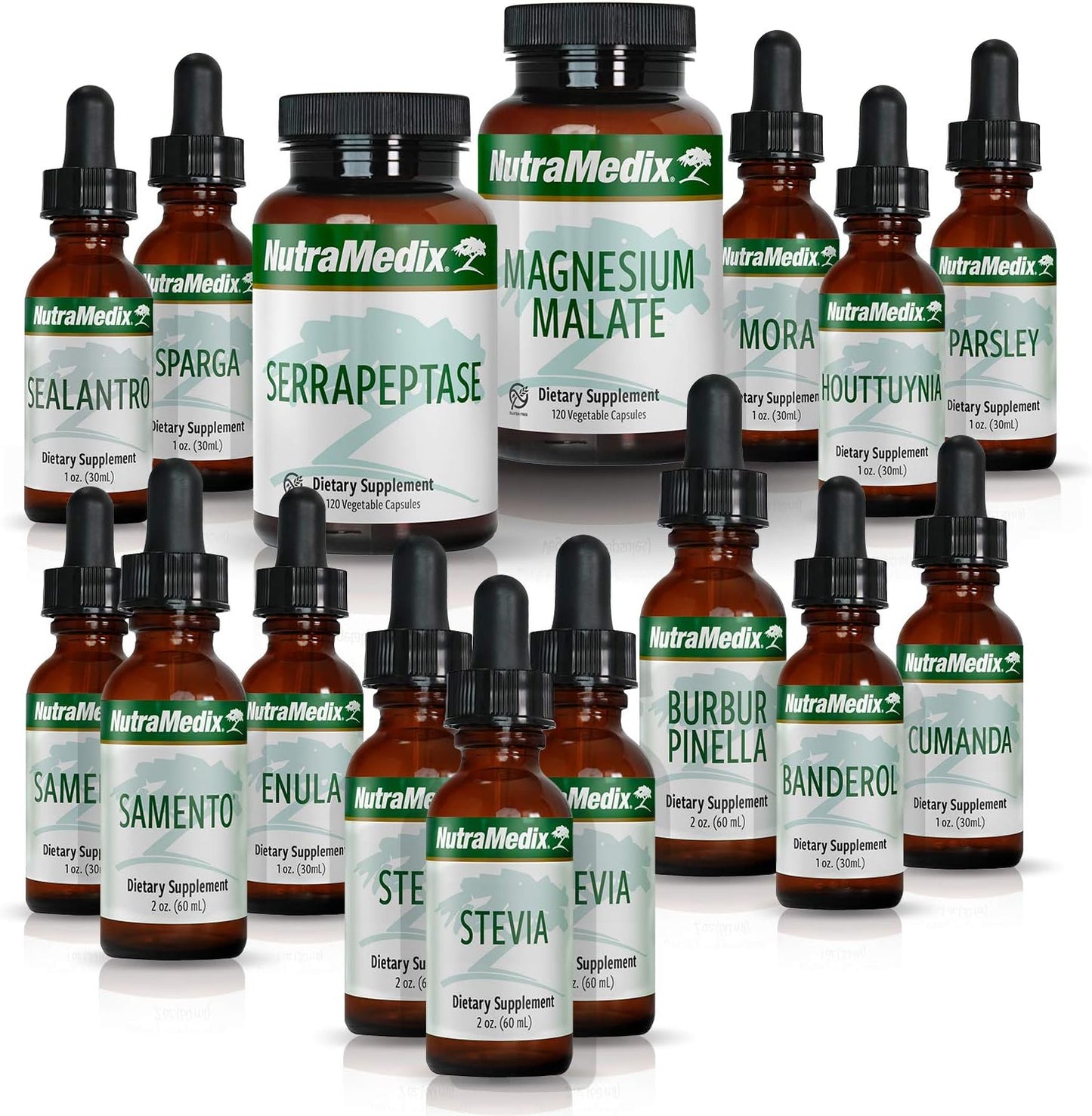 NutraMedix Cowden Support Program Month 9: Herbal Detox Protocol with Banderol, Burbur-Pinella, Samento Cat's Claw Tincture, Serrapeptase, Magnesium (16 Piece Set)