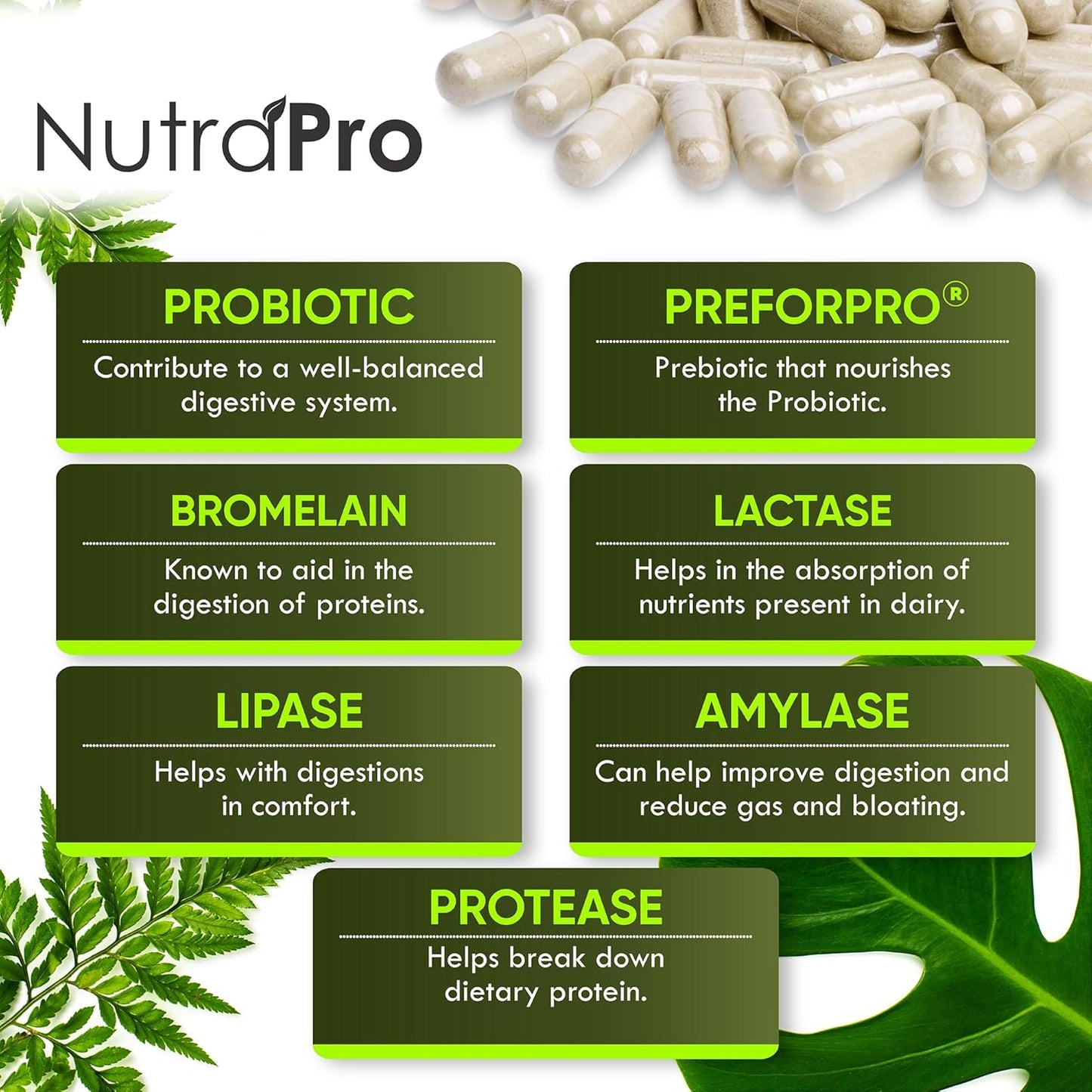 NutraPro Complete Gut Health Supplement for Women and Men - Probiotic, Prebiotic, Postbiotic, Digestive Enzymes - Leaky Gut Repair