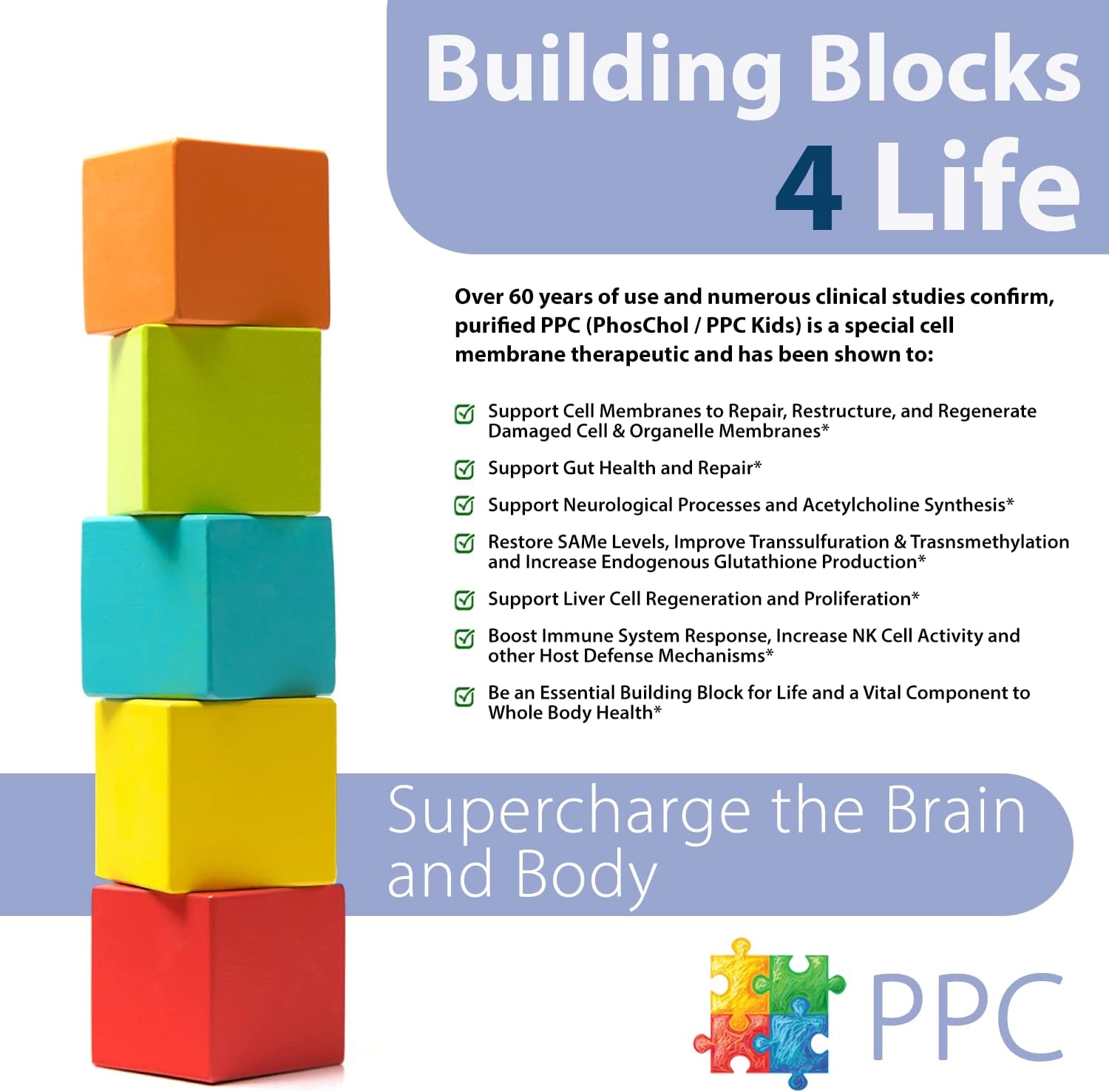 Nutrasal PhosChol PPC 1000mg Liquid Choline Supplement for Kids - 8 oz Bottle