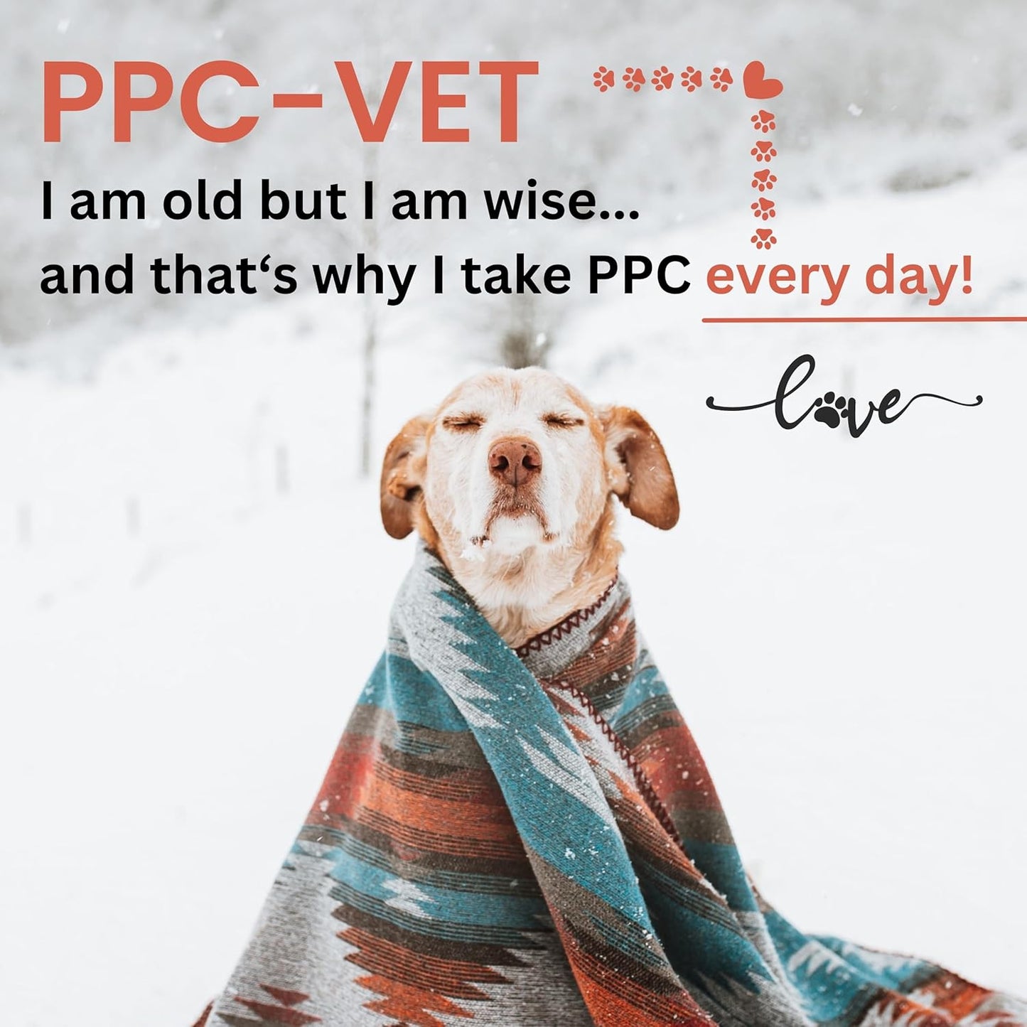 Nutrasal PPC-Vet Polyunsaturated Phosphatidylcholine Liver and Brain Health Supplement for Cats and Dogs - 8 oz Liquid