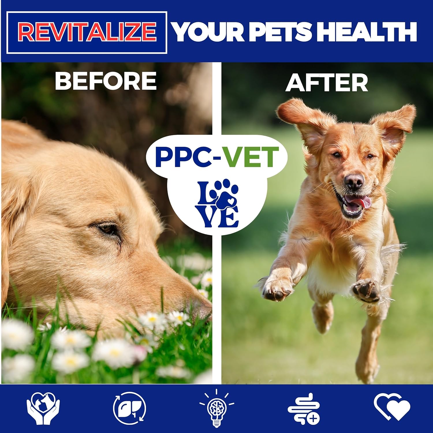 Nutrasal PPC-Vet Polyunsaturated Phosphatidylcholine Liver and Brain Health Supplement for Cats and Dogs - 8 oz Liquid