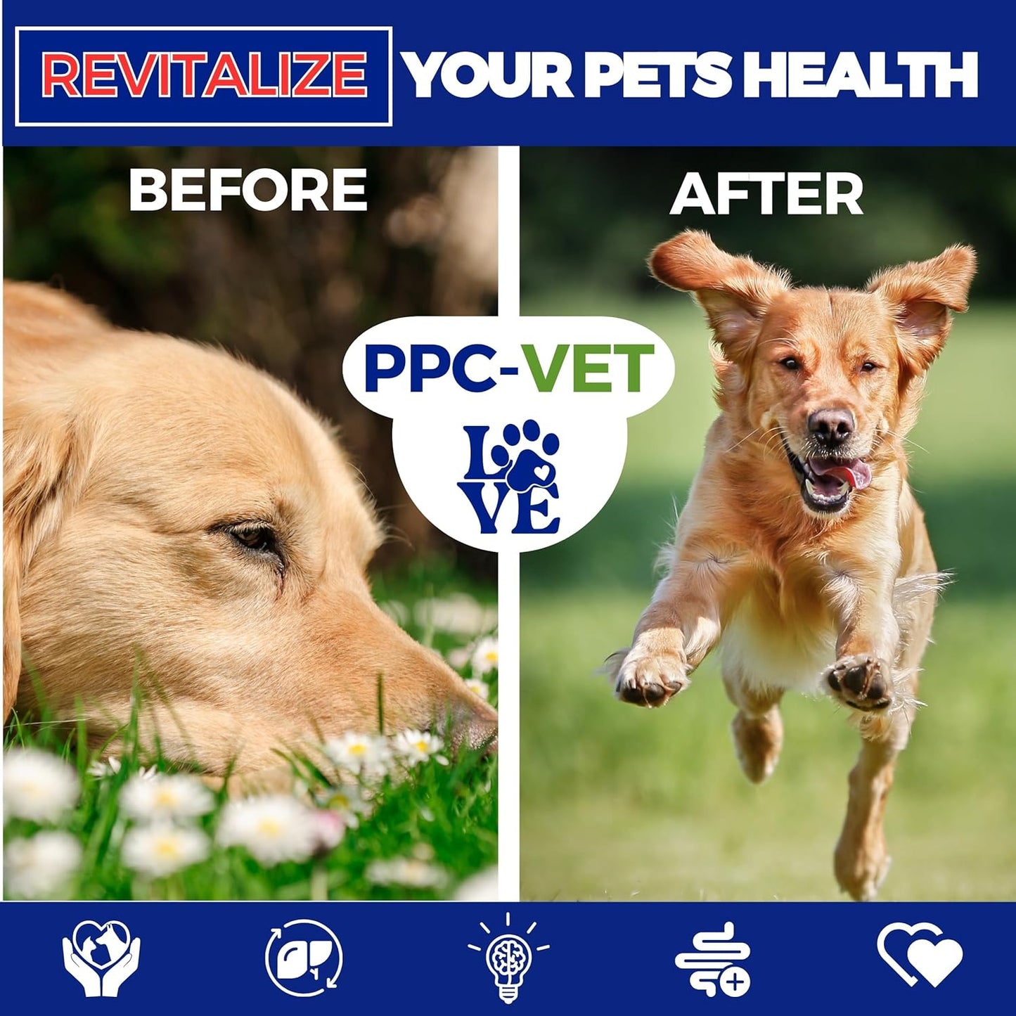 Nutrasal PPC-Vet Polyunsaturated Phosphatidylcholine Liver and Brain Health Supplement for Cats and Dogs - 8 oz Liquid