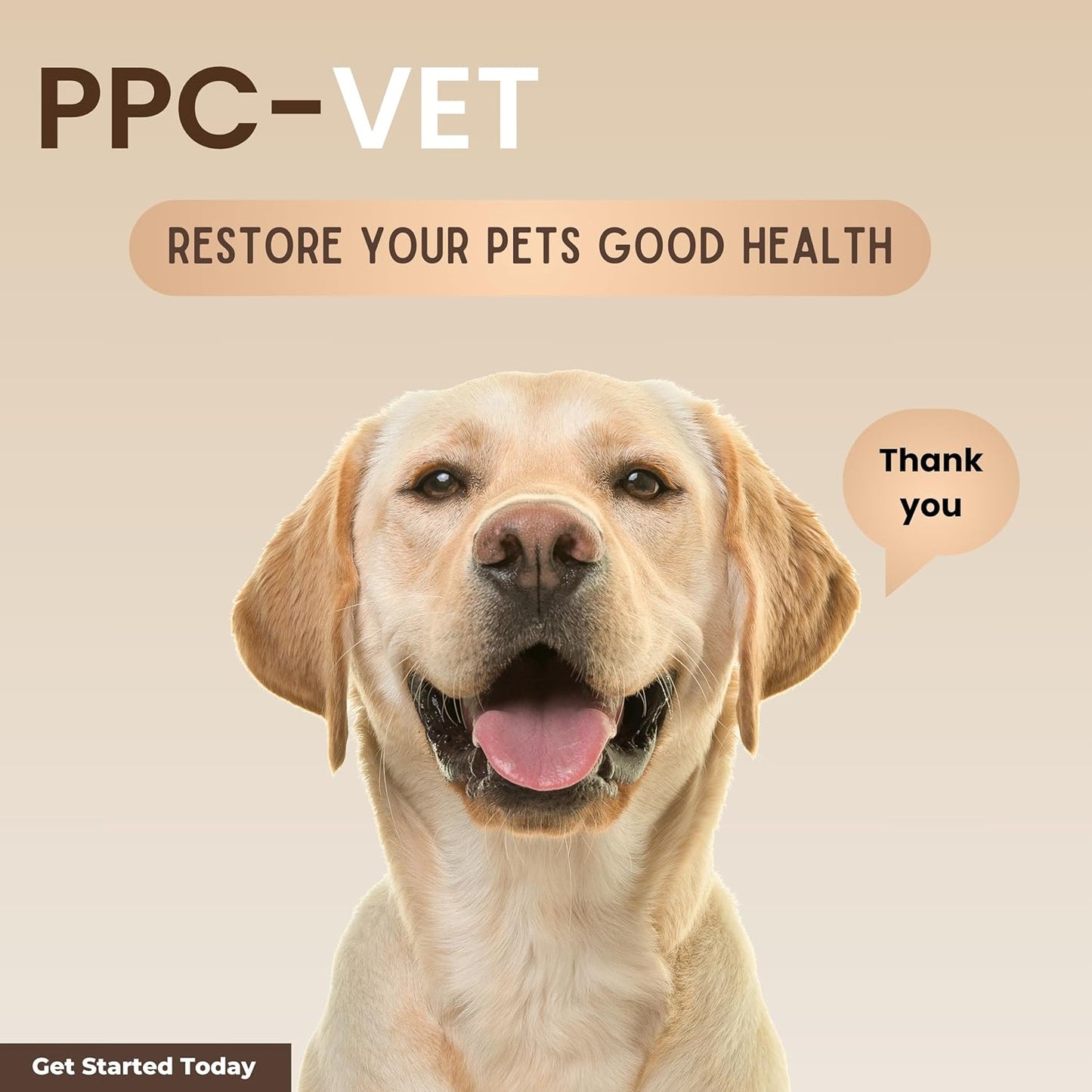 Nutrasal PPC-Vet Polyunsaturated Phosphatidylcholine Liver and Brain Health Supplement for Cats and Dogs - 8 oz Liquid