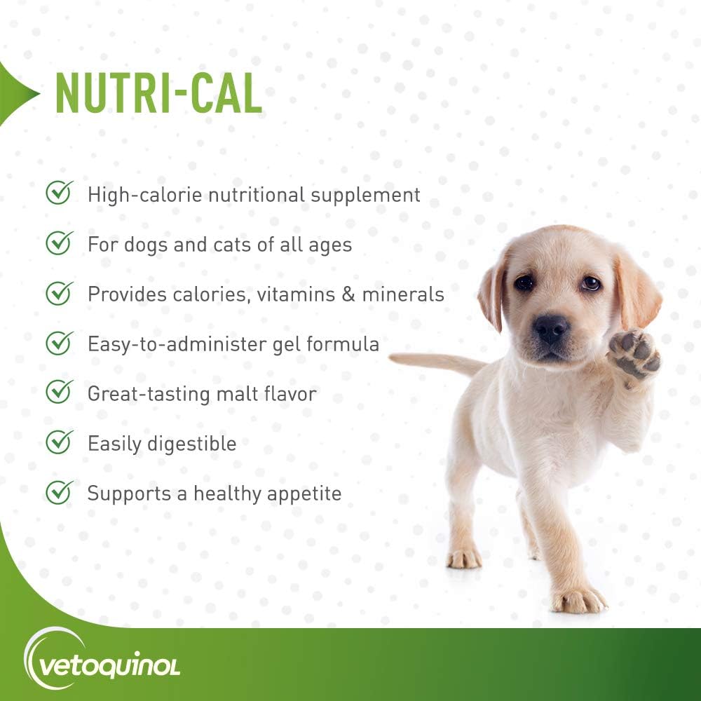 Nutri-Cal 4.25 Oz High Calorie Supplement for Cats and Dogs by Vetoquinol