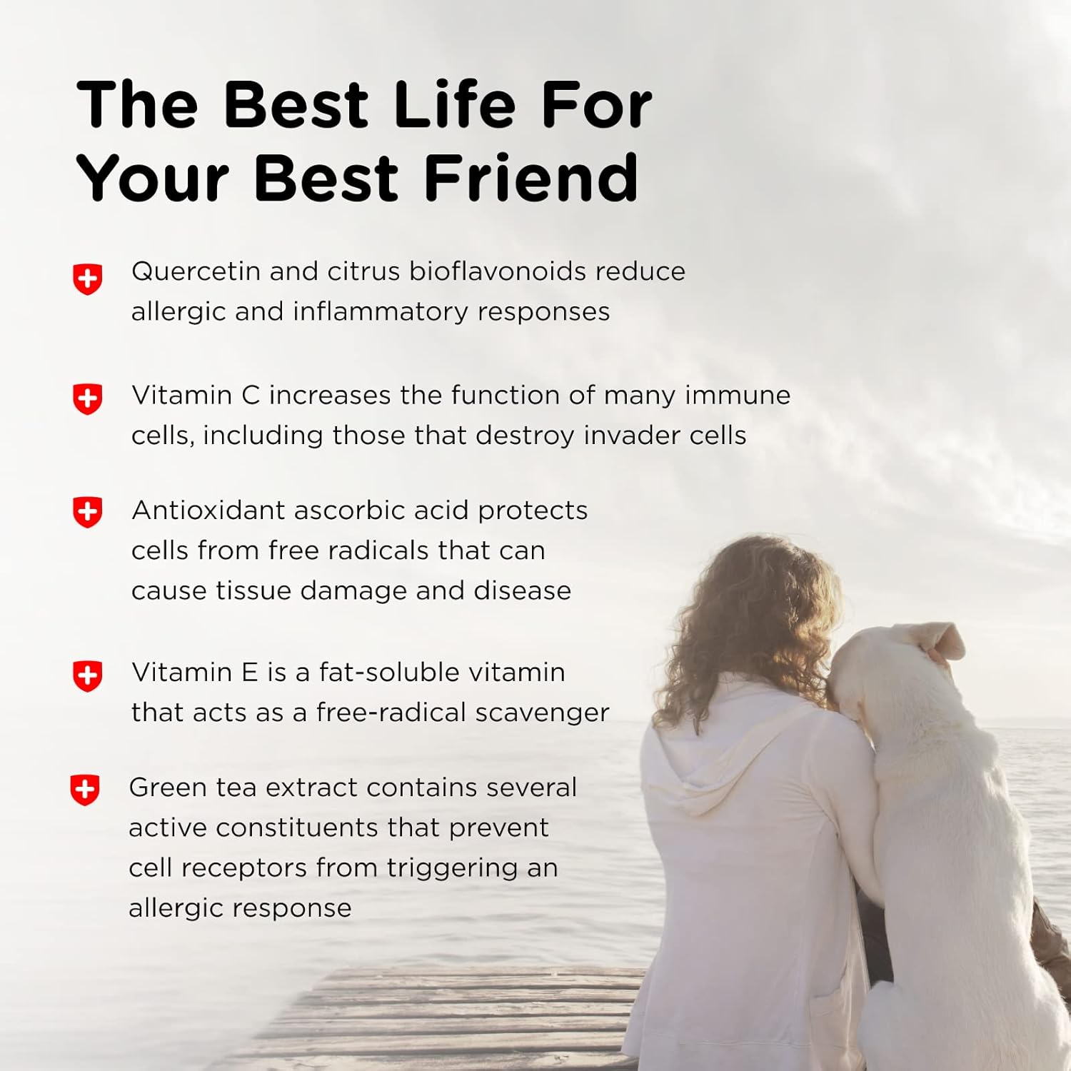 Nutri-Vet Allerg-Eze Chewables for Dogs - Antioxidants and Omega-3s - Supports Respiratory & Skin - 60 Count