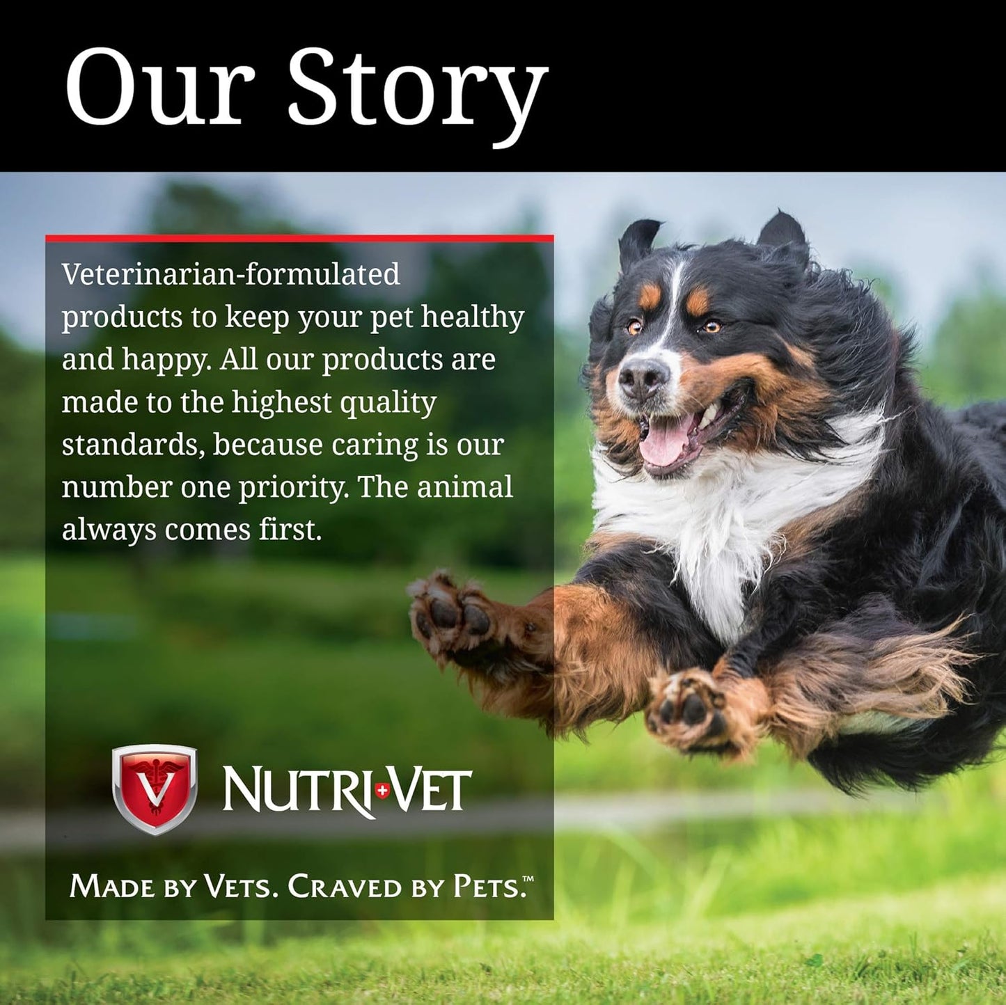 Nutri-Vet Bitter Bandage - 2 inch | Deters Chewing in Dogs and Cats