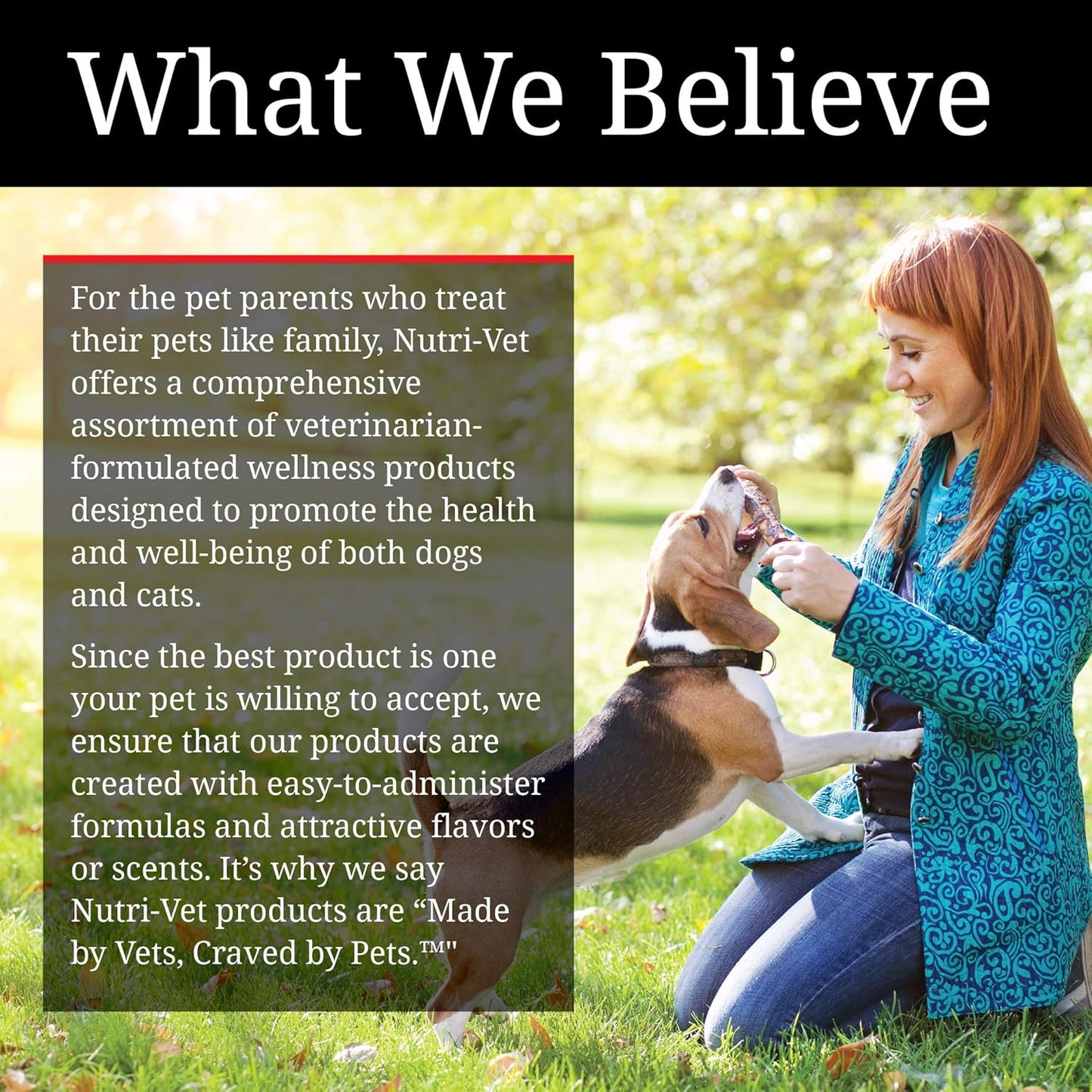 Nutri-Vet Bitter Bandage - 2 inch | Deters Chewing in Dogs and Cats