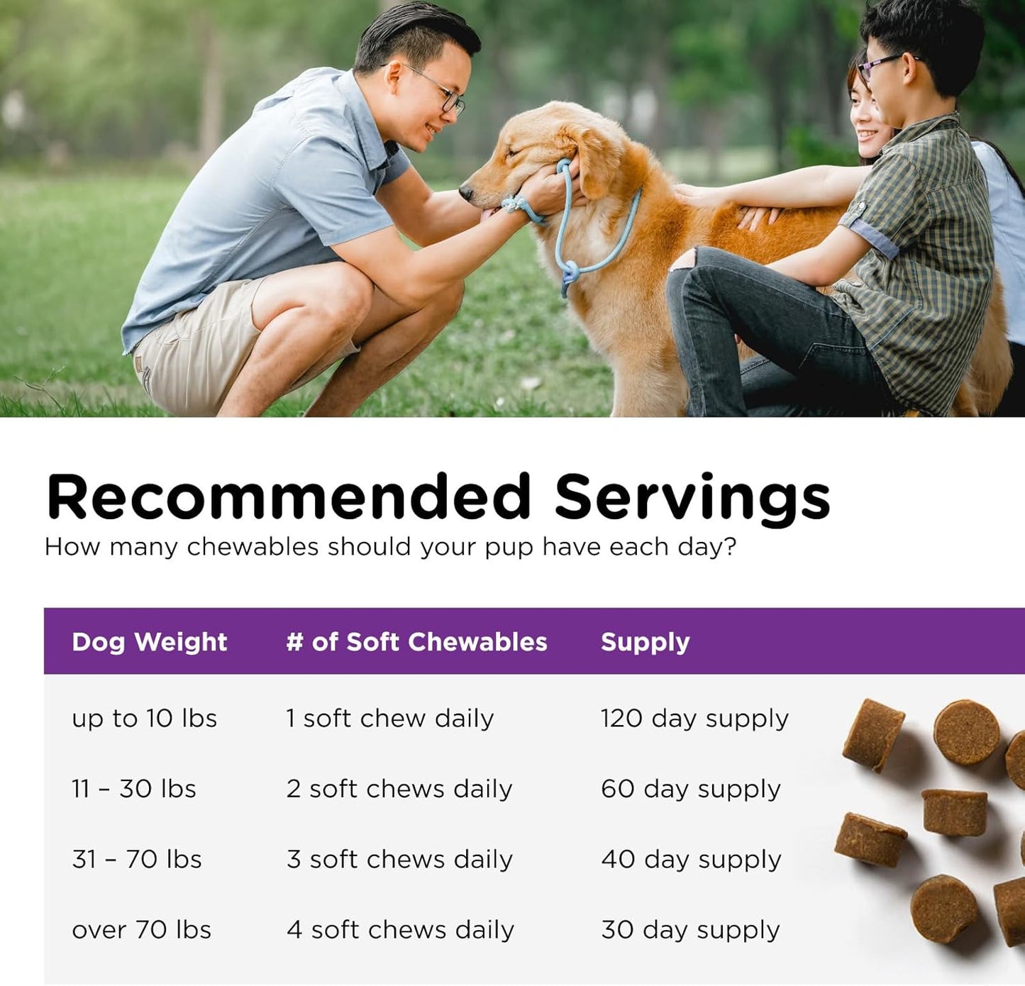 Nutri-Vet Pre and Probiotic Soft Chews for Dogs - 120 Tasty Digestive Health Support Chews