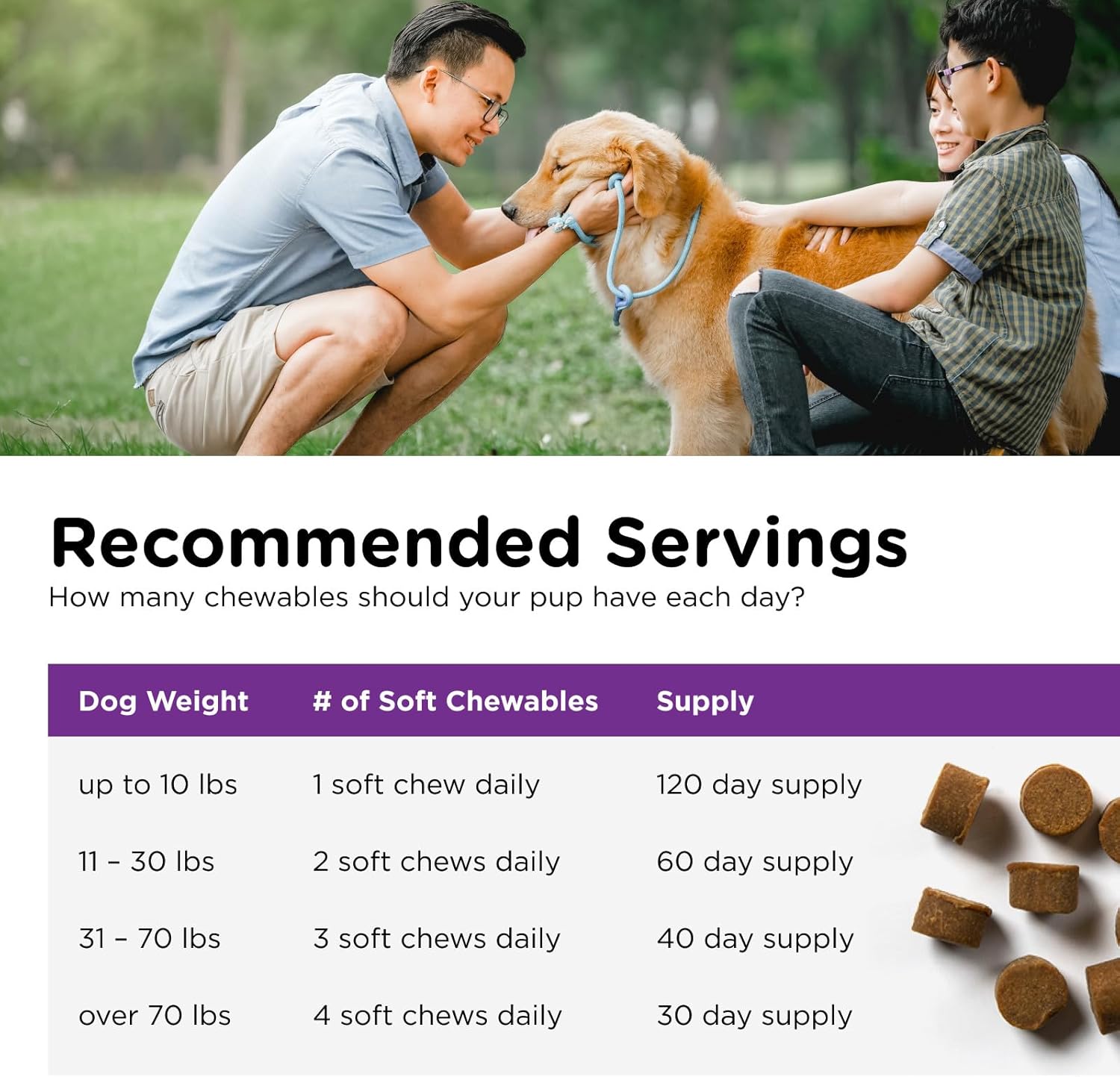 Nutri-Vet Pre and Probiotic Soft Chews for Dogs - 120 Tasty Digestive Health Support Chews