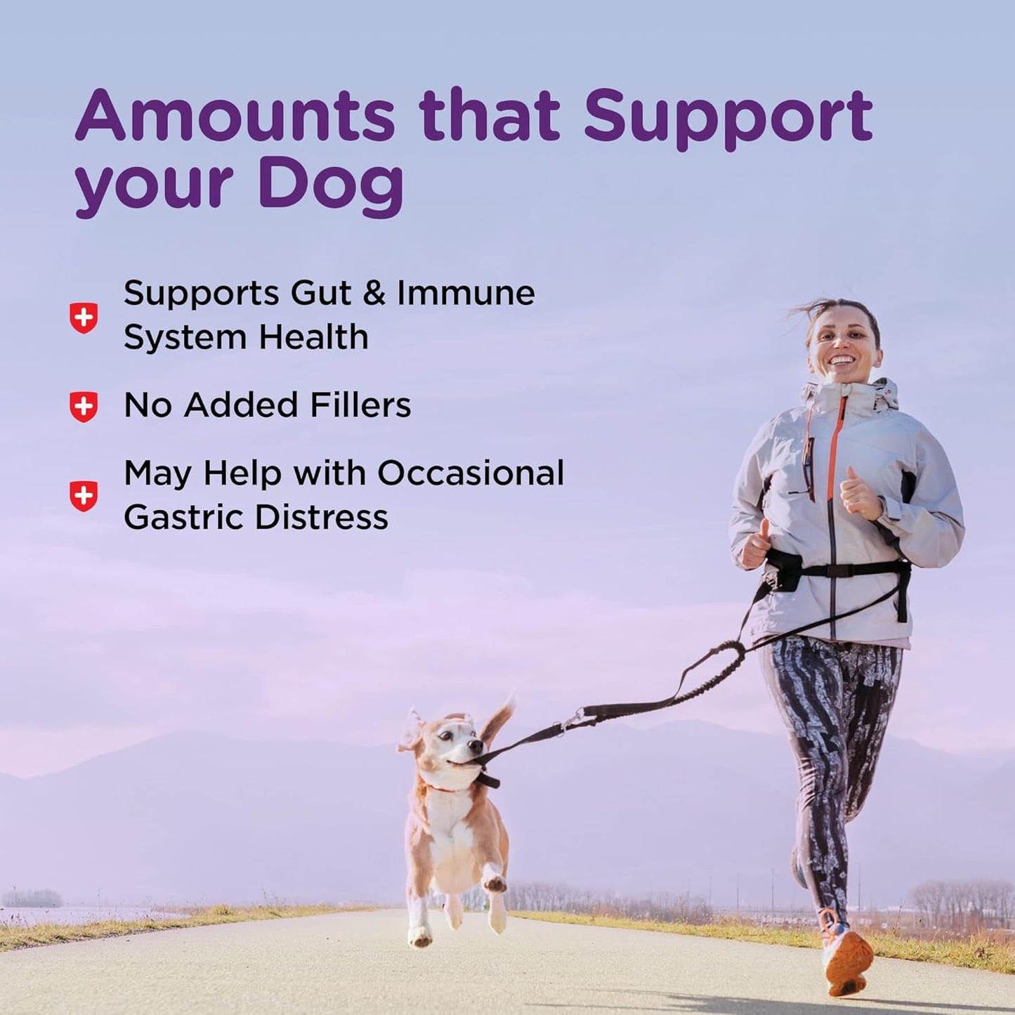 Nutri-Vet Pre and Probiotic Soft Chews for Dogs - 120 Tasty Digestive Health Support Chews