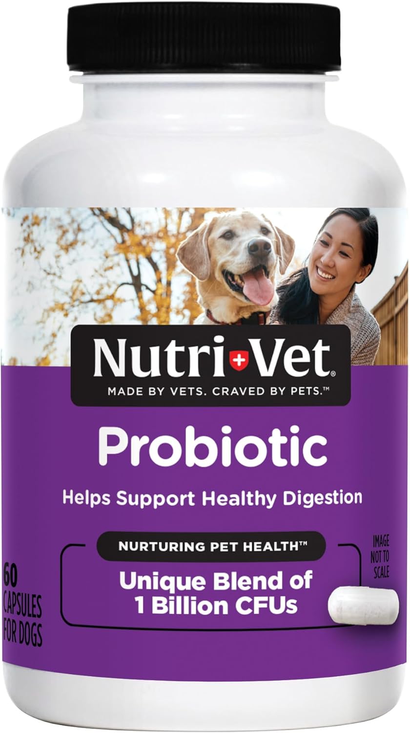 Nutri-Vet Probiotic Capsules for Dogs | Supports Digestive & Immune Health | Vet Formulated | 60 Count