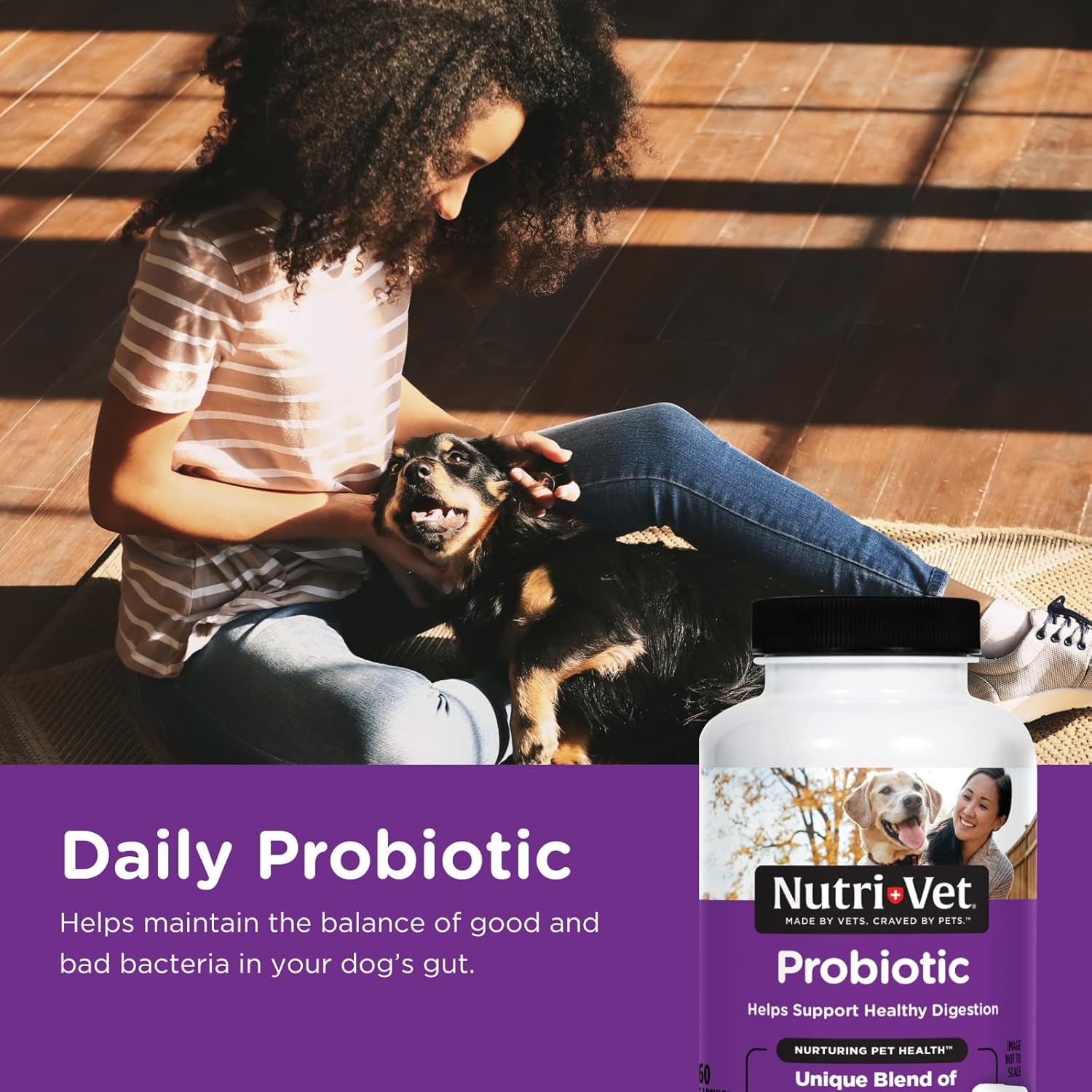 Nutri-Vet Probiotic Capsules for Dogs | Supports Digestive & Immune Health | Vet Formulated | 60 Count