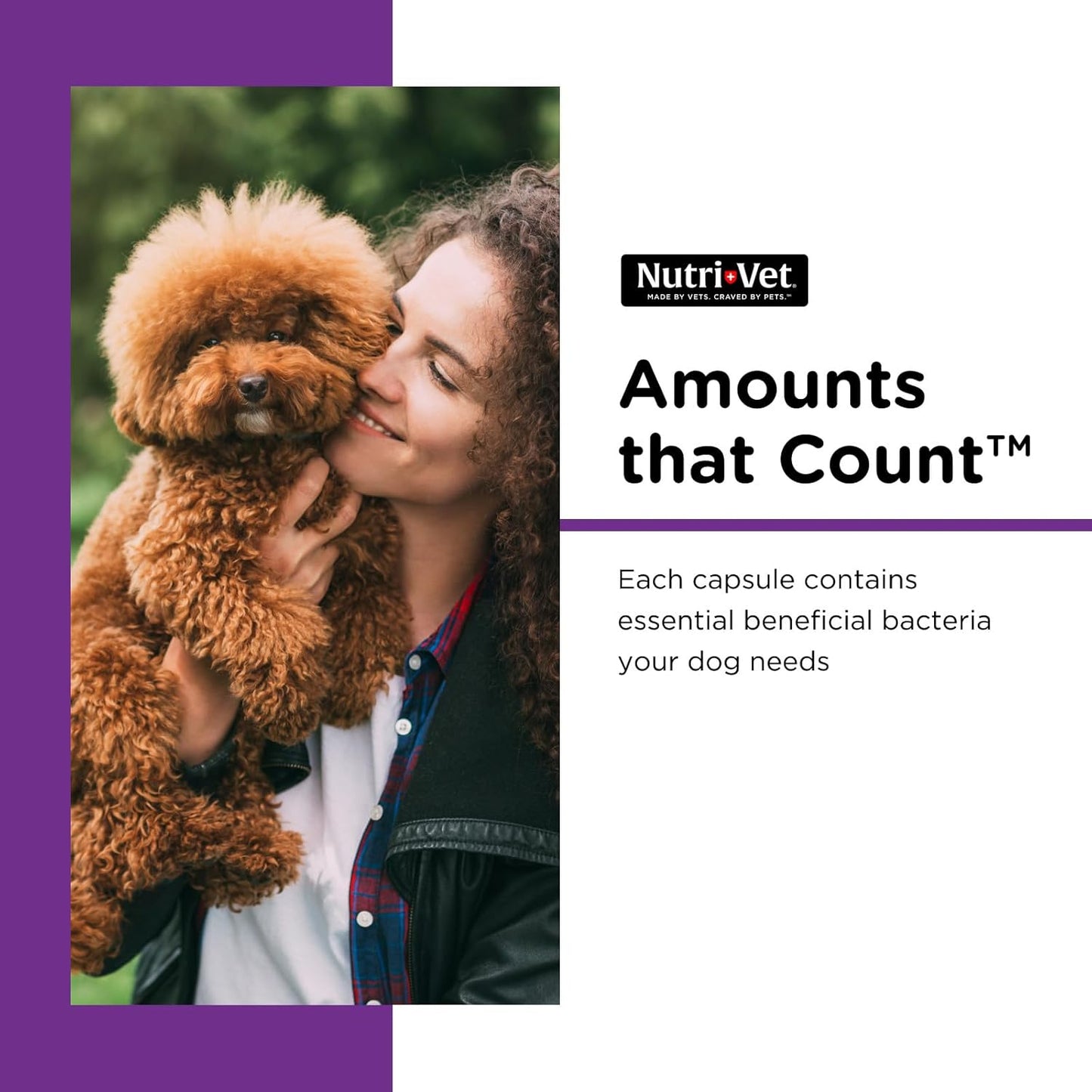 Nutri-Vet Probiotic Capsules for Dogs | Supports Digestive & Immune Health | Vet Formulated | 60 Count