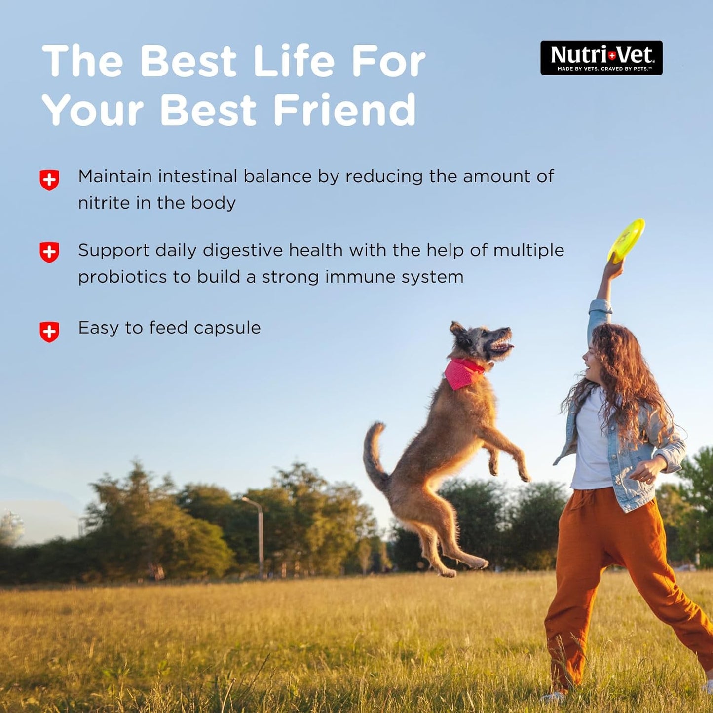 Nutri-Vet Probiotic Capsules for Dogs | Supports Digestive & Immune Health | Vet Formulated | 60 Count