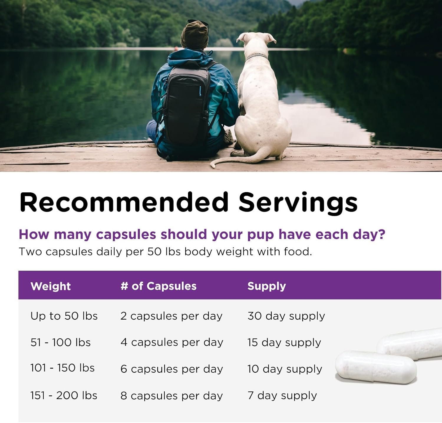 Nutri-Vet Probiotic Capsules for Dogs | Supports Digestive & Immune Health | Vet Formulated | 60 Count