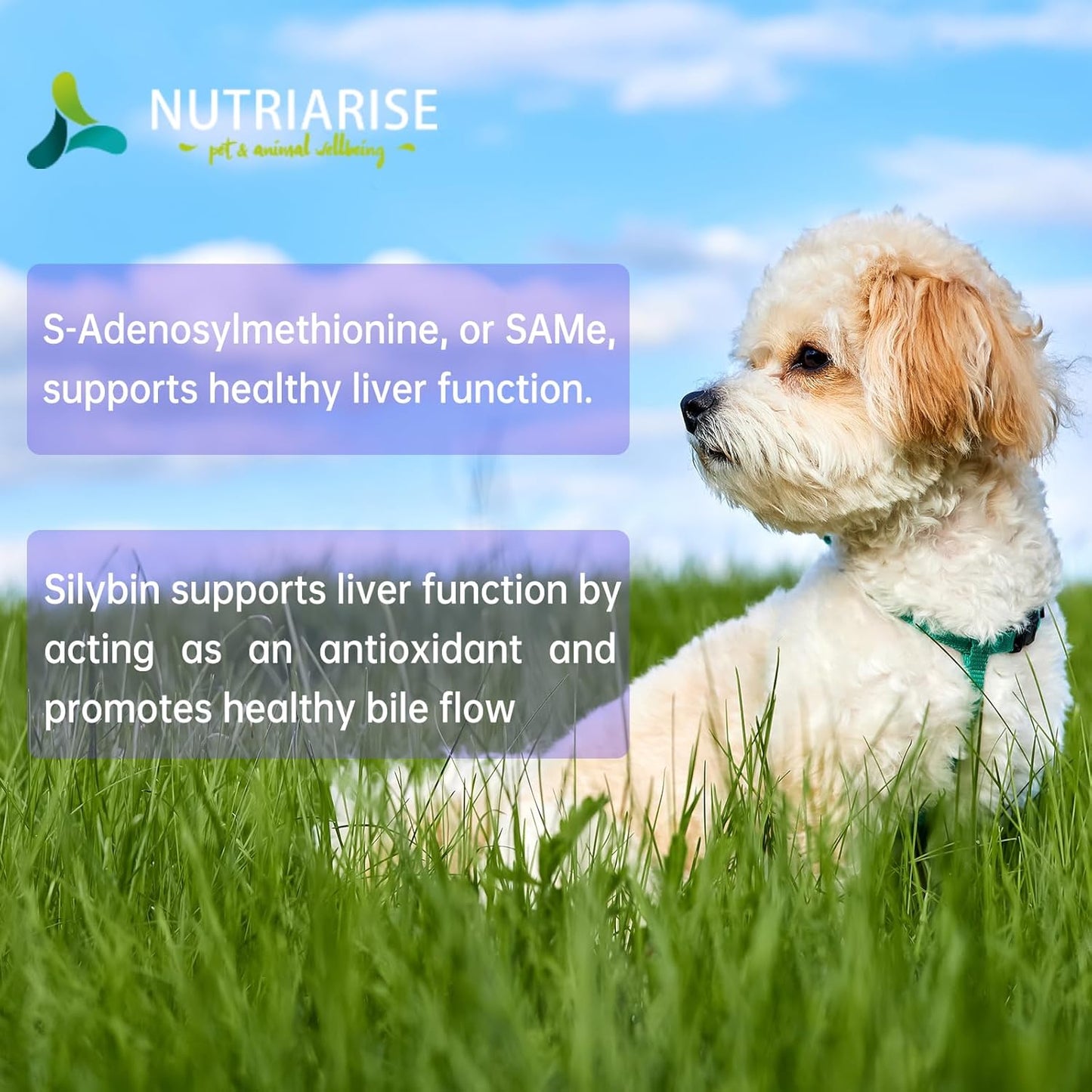 NUTRIARISE Liver Health Supplement for Medium & Large Dogs - 30 Tablets