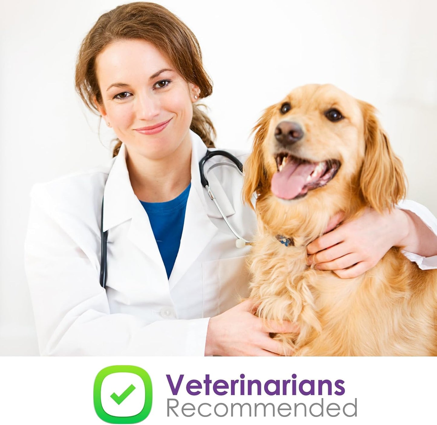 NUTRIARISE Liver Health Supplement for Medium & Large Dogs - 30 Tablets