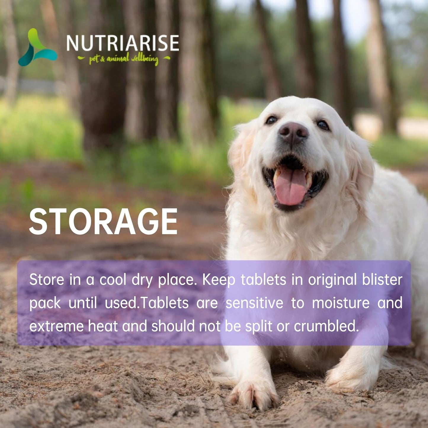 NUTRIARISE Liver Health Supplement for Medium & Large Dogs - 30 Tablets