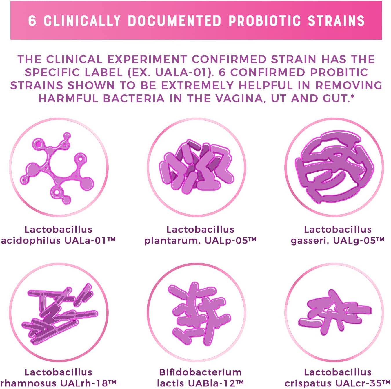 Nutricelebrity NutriFlora-Pro Probiotic Capsules for Women - Supports Vaginal, Urinary, and Digestive Health, UTI Relief, Period Pain, Cranberry Extract, 10 Billion CFU 6 Strains (60 Capsules)