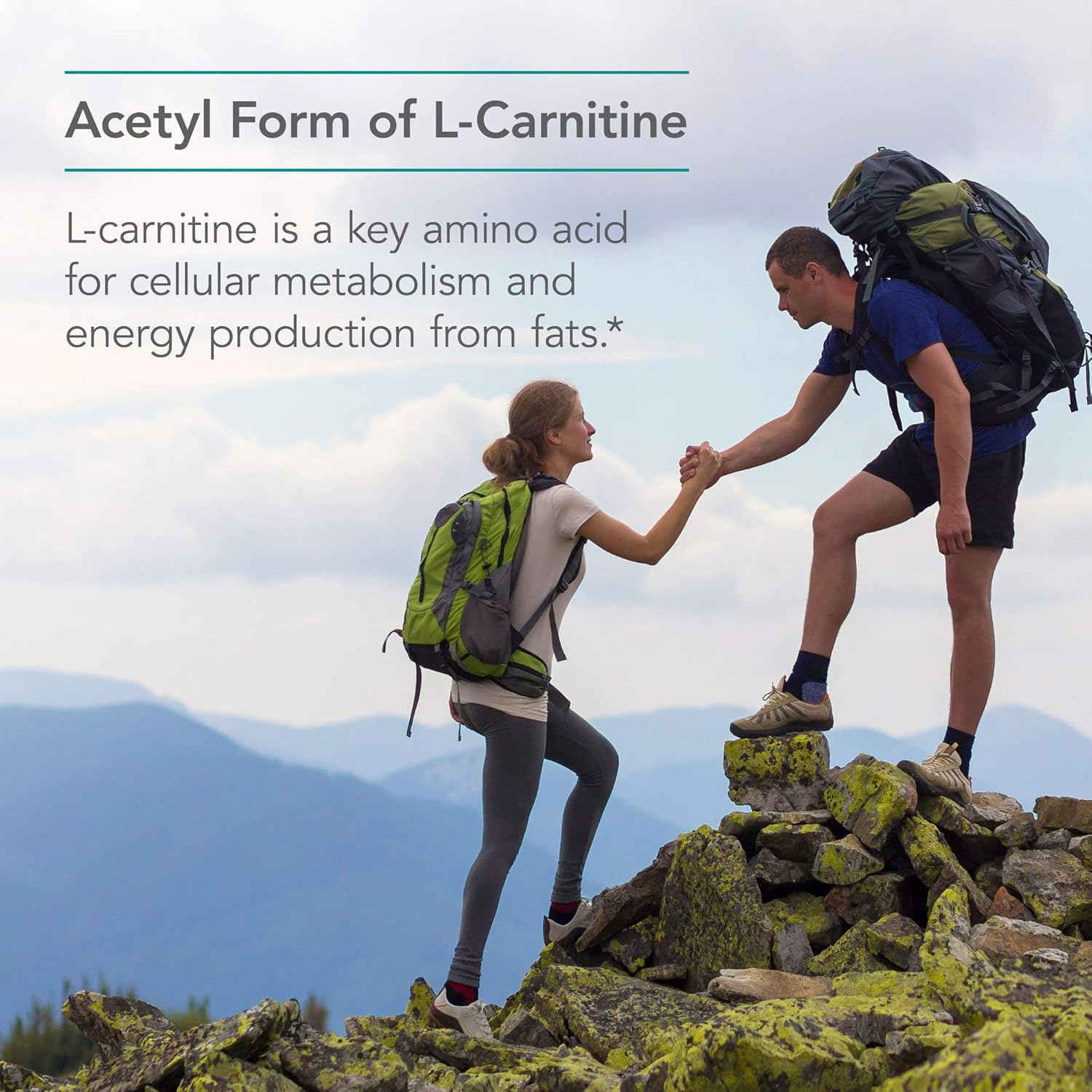 Nutricology ALC 500mg Supplement - Supports Metabolism and Energy, Free Form Amino Acid, Vegetarian Capsules - 100 Ct