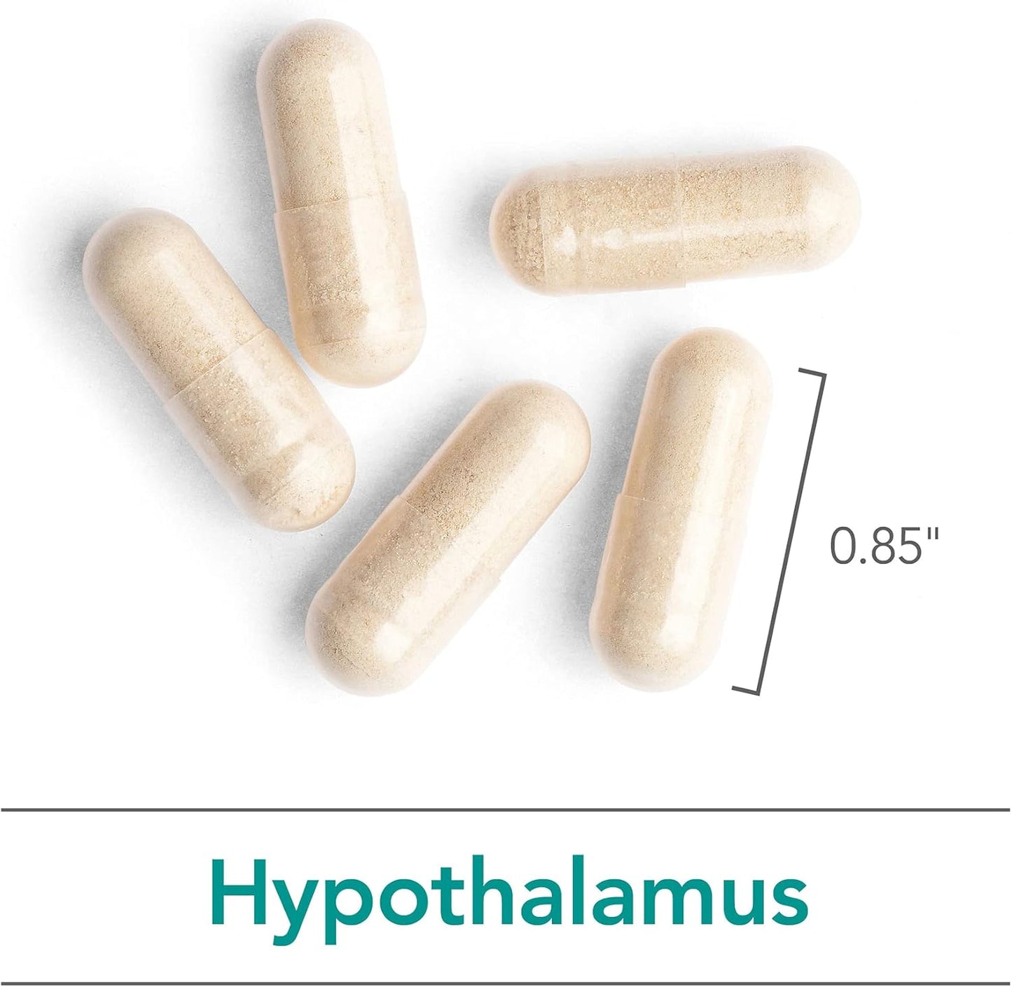 Nutricology Hypothalamus Supplement 500mg - Endocrine Support for Adrenal Health - Bovine Glandular Vegicaps (100 Count)