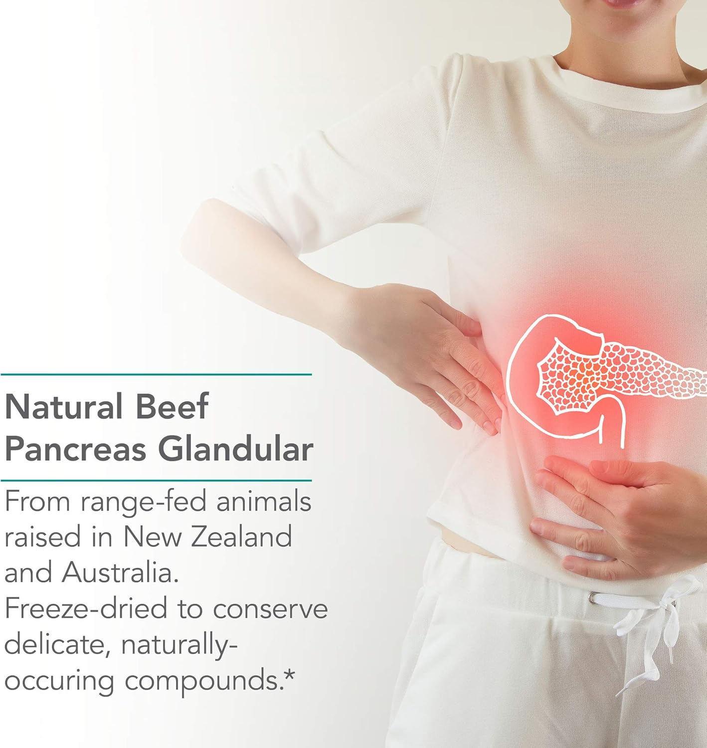 Nutricology Pancreas Pork 425mg Supplement - Natural Pancreatic Enzymes for Digestion - 60 Capsules