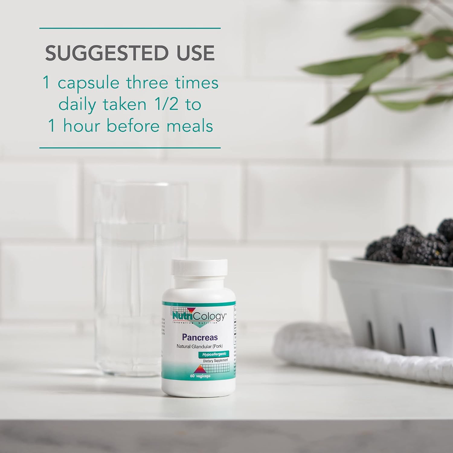 Nutricology Pancreas Pork 425mg Supplement - Natural Pancreatic Enzymes for Digestion - 60 Capsules