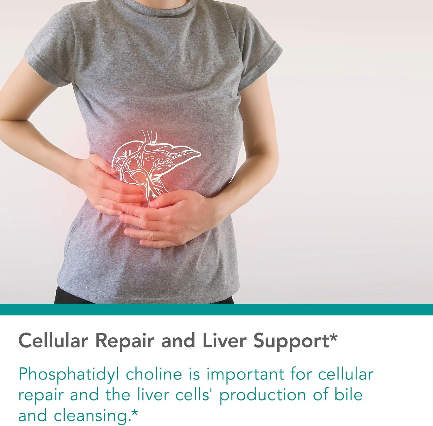 Nutricology Phosphatidyl Choline Supplement - Lecithin Capsules for Liver and Fat Digestion Support - 100 Count