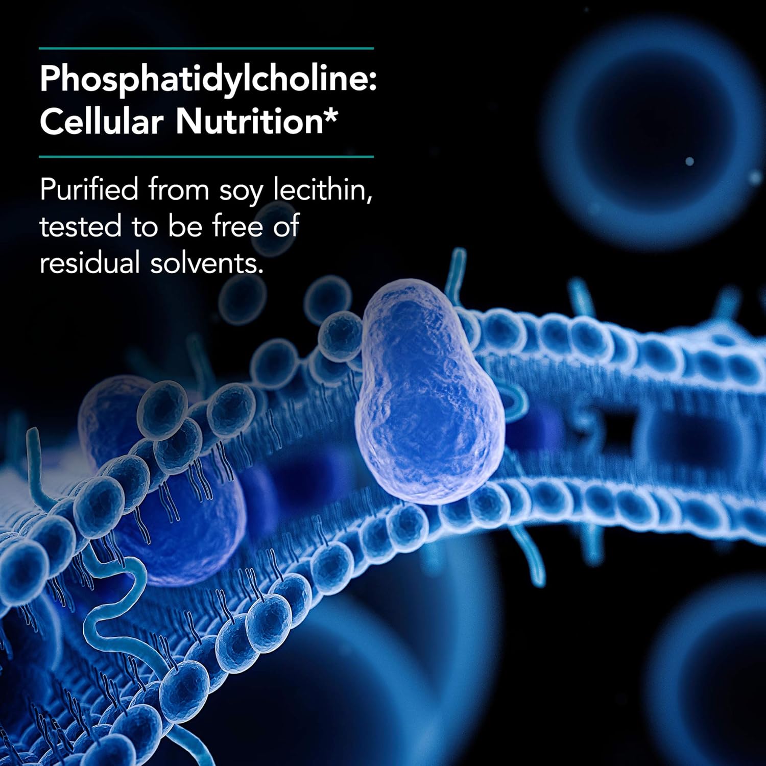 Nutricology Phosphatidyl Choline Supplement - Lecithin Capsules for Liver and Fat Digestion Support - 100 Count