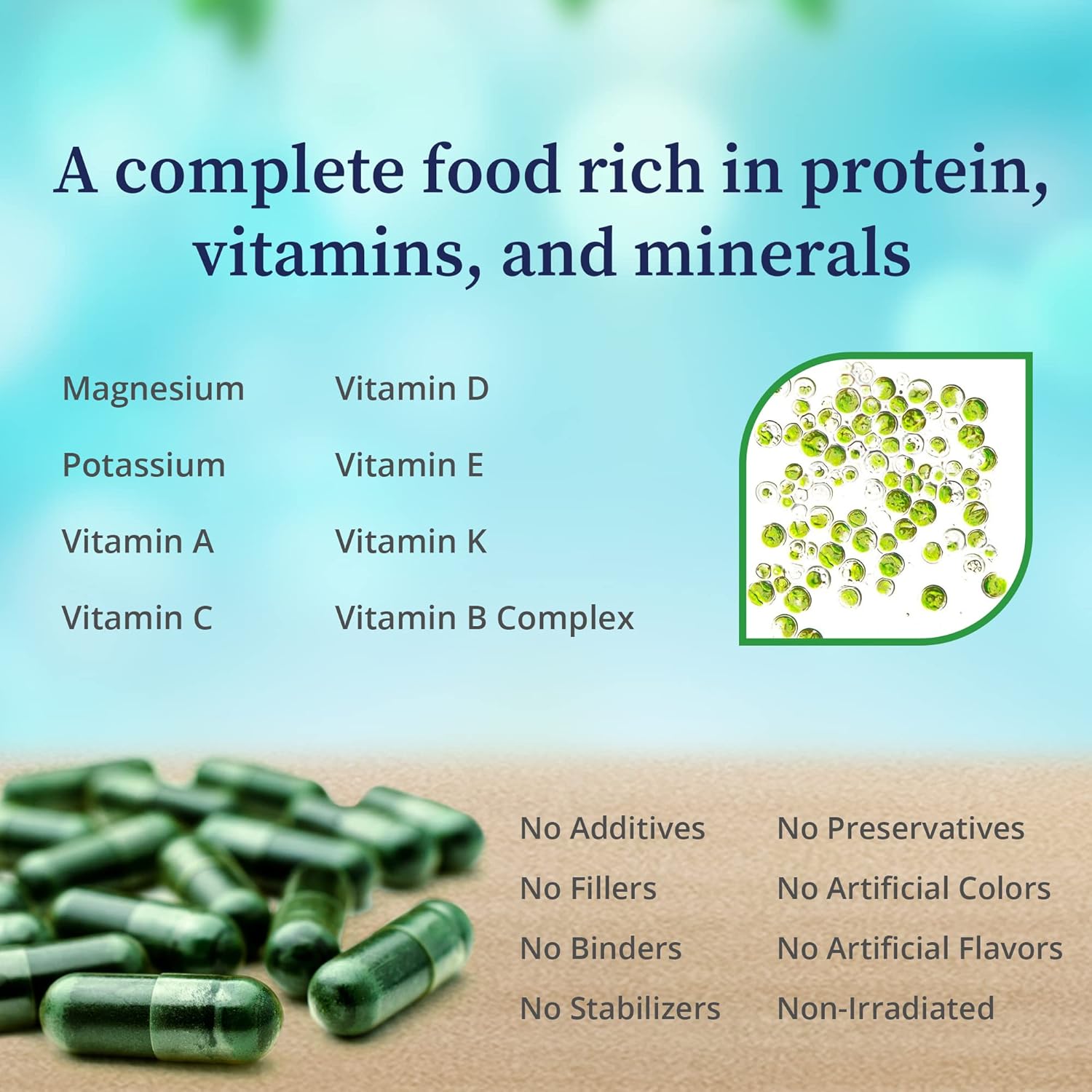 Nutrient-Dense Chlorella Vulgaris Extract Capsules for Metabolism, Detox & Immunity - Packed with Proteins, Vitamins, Minerals & Amino Acids - 60 Capsules
