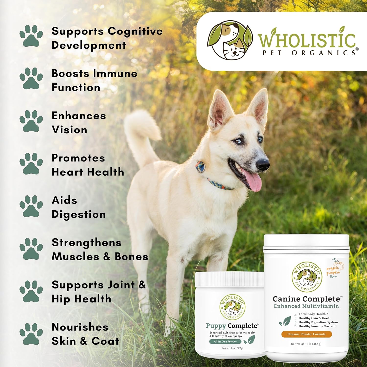 Nutrient-Rich Dog Multivitamin Powder for Immune System, Skin & Coat - Wholistic Pet Organics Canine Complete - 1 Lb Size