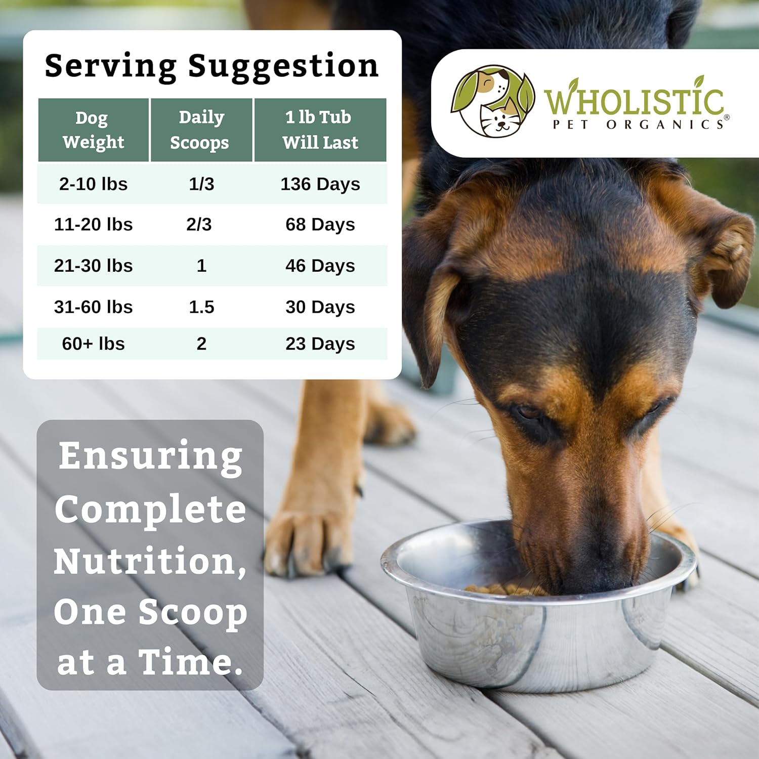 Nutrient-Rich Dog Multivitamin Powder for Immune System, Skin & Coat - Wholistic Pet Organics Canine Complete - 1 Lb Size