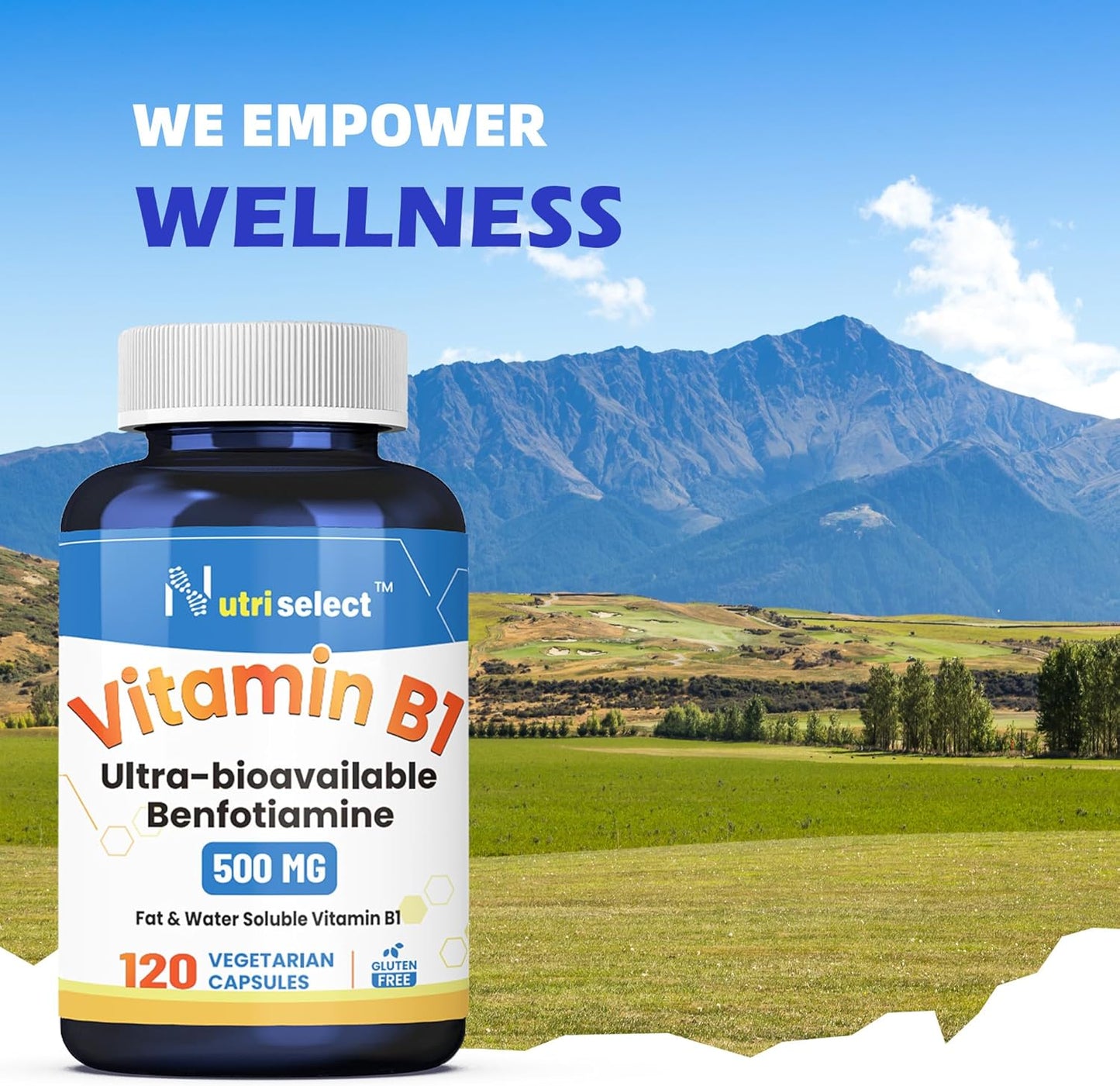 Nutriselect Benfotiamine 500MG Vitamin B1 Capsules - 120 Count, Non-GMO, Vegan, Gluten Free