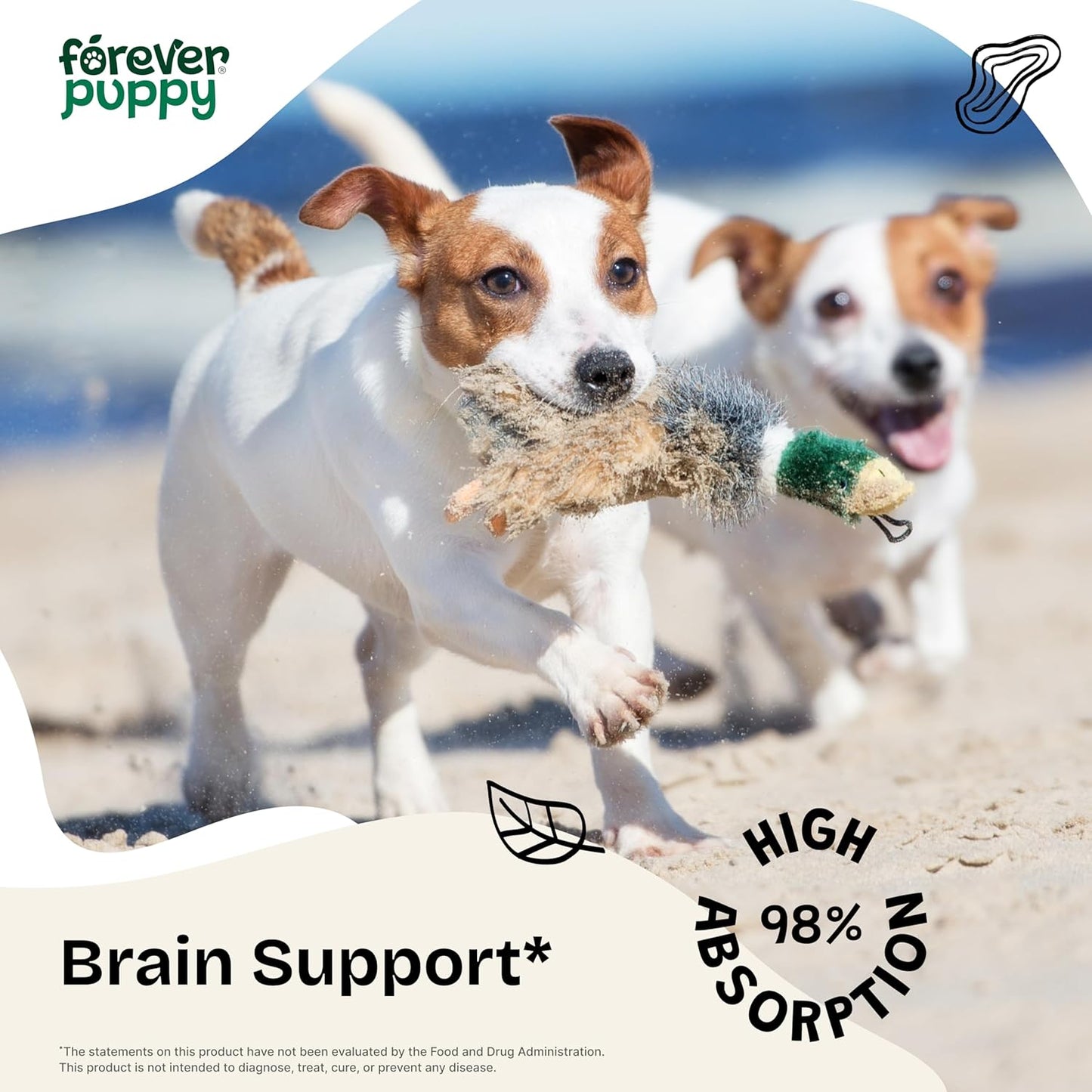 Nutritional Brain Supplement for Dogs - Gotu Kola Drops with Centella Asiatica Extract - Brain Health Support for All Breeds - 4 oz