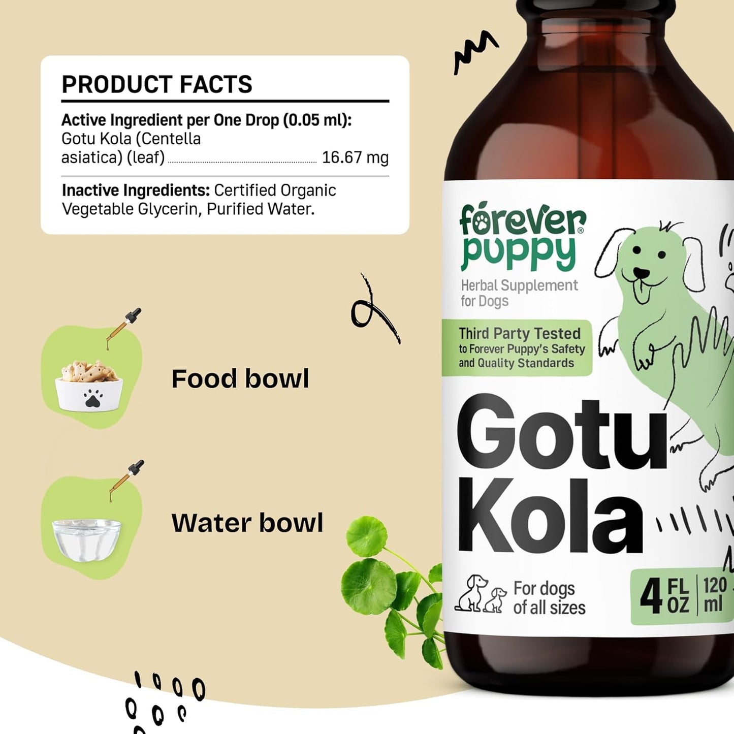 Nutritional Brain Supplement for Dogs - Gotu Kola Drops with Centella Asiatica Extract - Brain Health Support for All Breeds - 4 oz