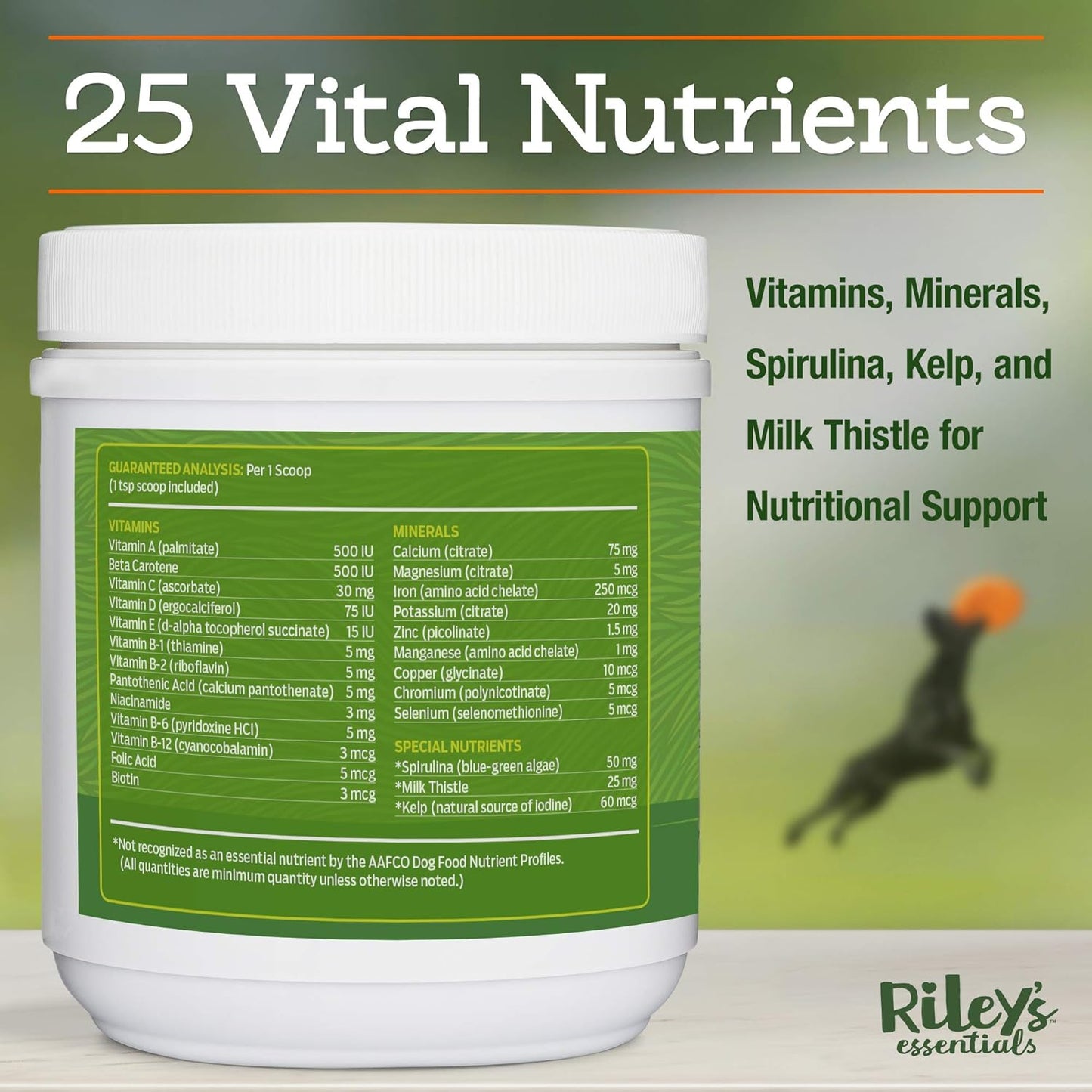 Nutritional Support Powder for Dogs with Vitamins, Minerals, Spirulina, Kelp, and Milk Thistle - Puppy and Senior Dog Multivitamin - 8oz