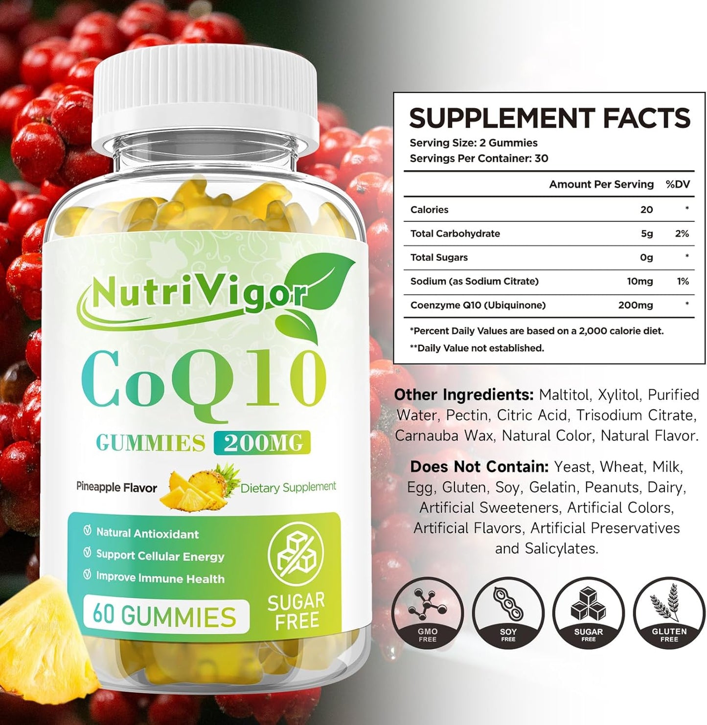NutriVigor CoQ10 Gummies - 200mg High Absorption Coenzyme Q10 Supplement for Energy & Immune Health - Vegan Pineapple Gummies - 120 Count