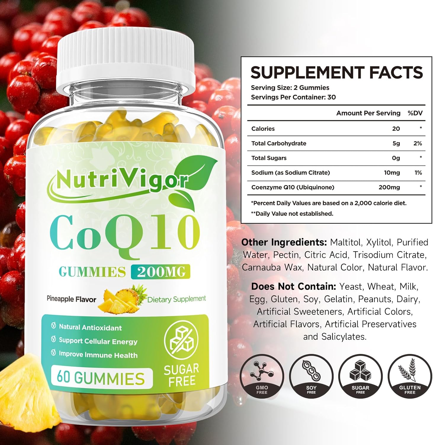 NutriVigor CoQ10 Gummies - 200mg High Absorption Coenzyme Q10 Supplement for Energy & Immune Health - Vegan Pineapple Gummies - 120 Count