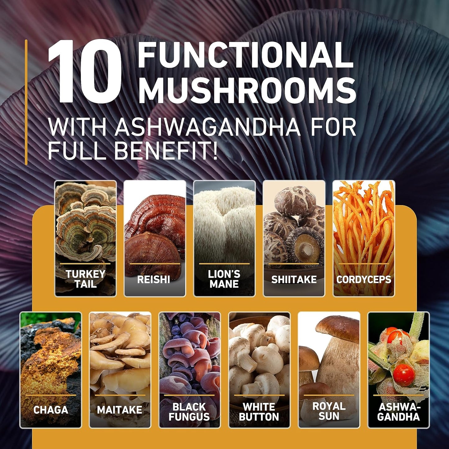 nutriyum Mushroom Gummies - Immune, Energy, & Cognitive Support Blend with Lions Mane, Ashwagandha, and More - 120 pcs