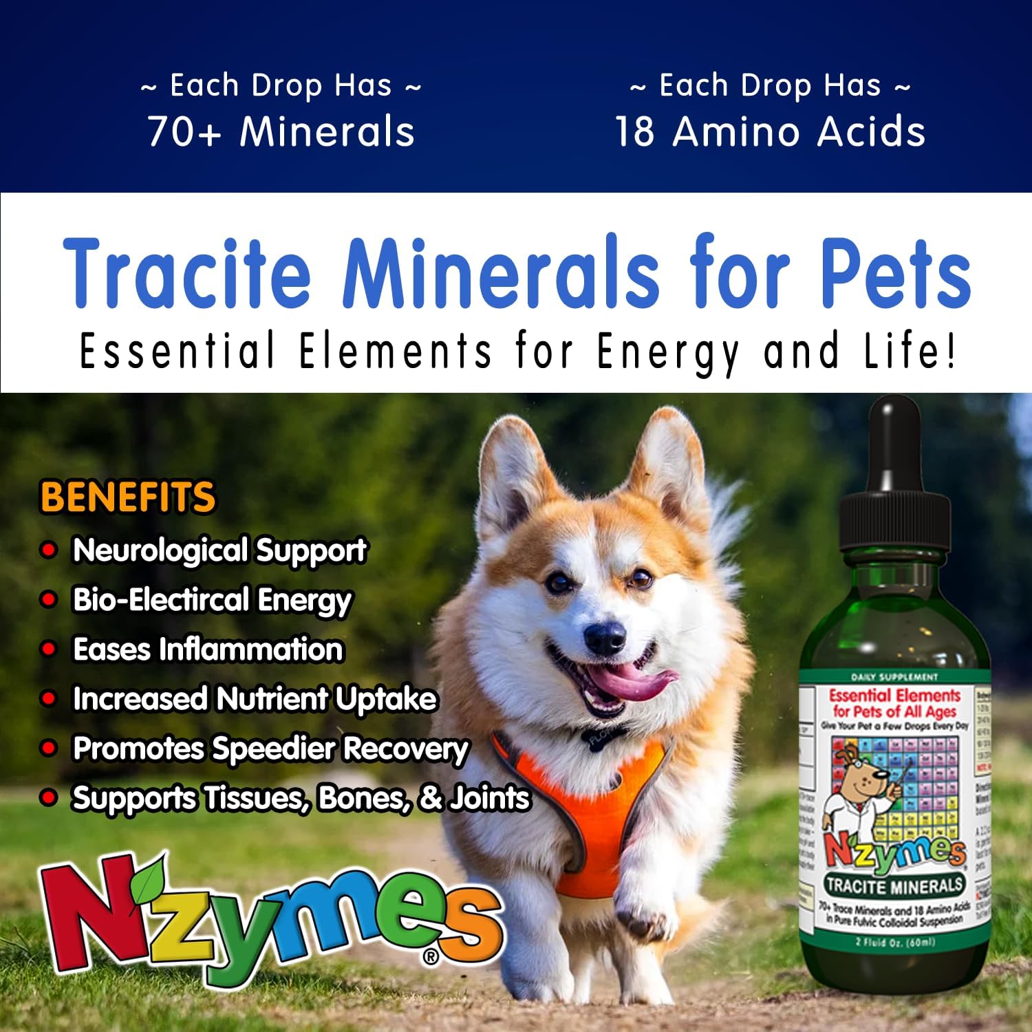 Nzymes® Tracite Mineral Drops for Pets - Fulvic & Humic Acid, Iron Trace Minerals, Amino Acids for Energy & Health - USA Made