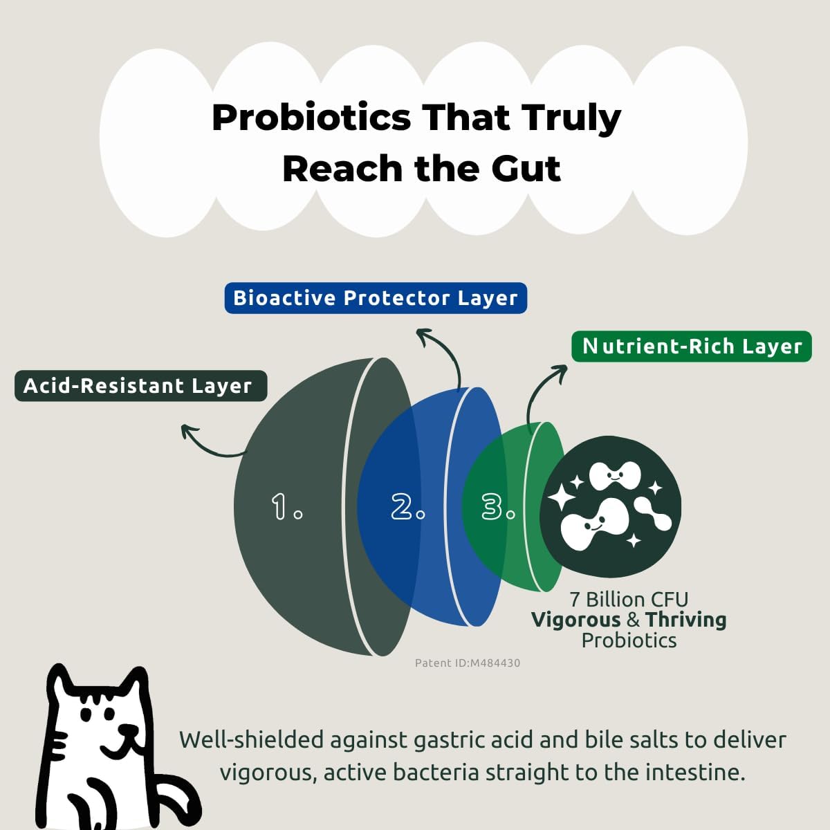 Oh!Pet Digestive Probiotics Powder for Dogs & Cats - 7 Billion CFUs, Prebiotics, Enzymes, Fiber - 30 Packets