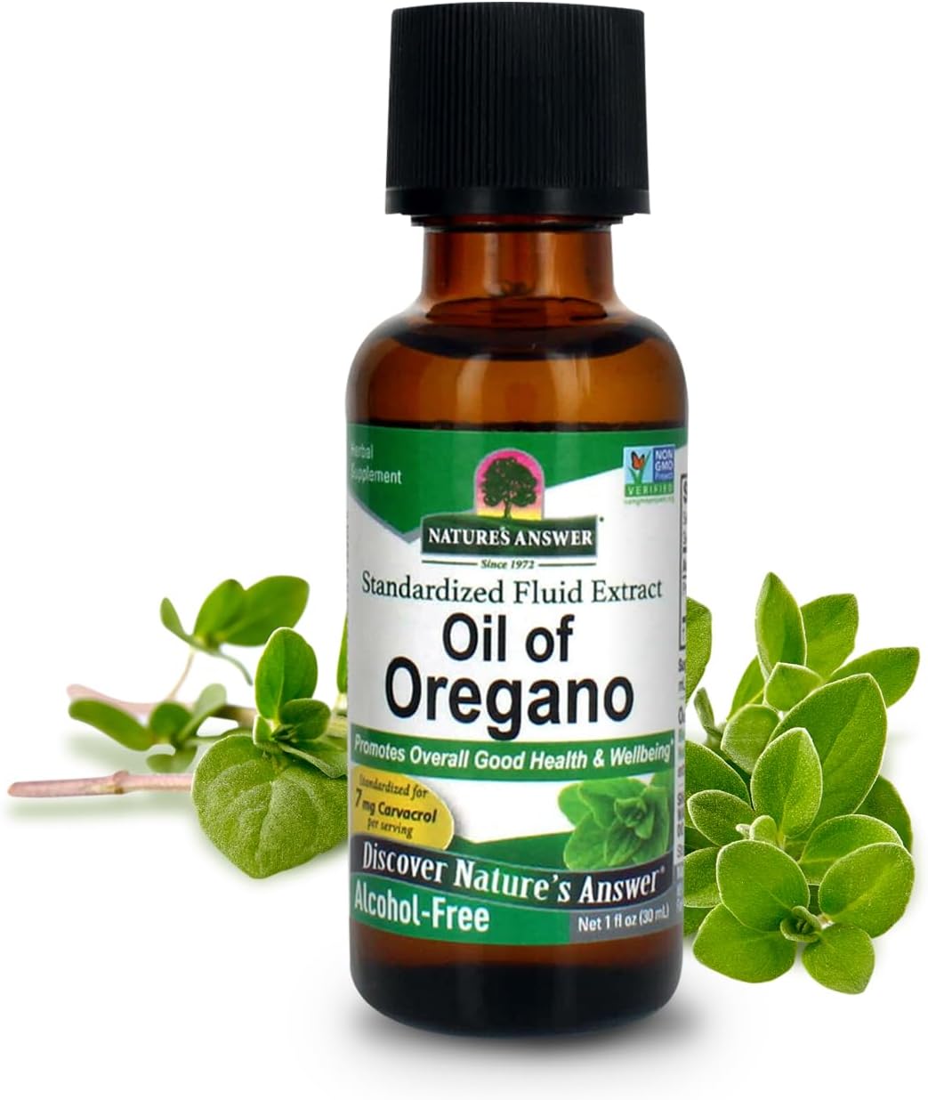 Oil of Oregano Leaf for Healthy Digestive Support | Promotes Wellness | Gluten-Free, Alcohol-Free 1oz