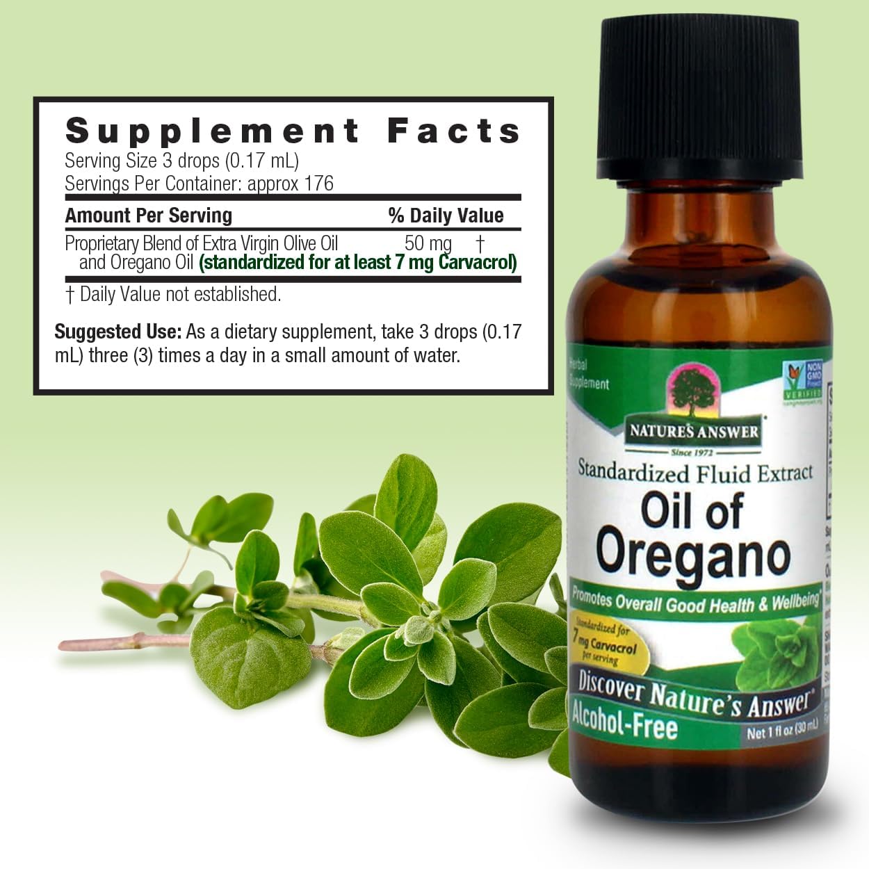 Oil of Oregano Leaf for Healthy Digestive Support | Promotes Wellness | Gluten-Free, Alcohol-Free 1oz