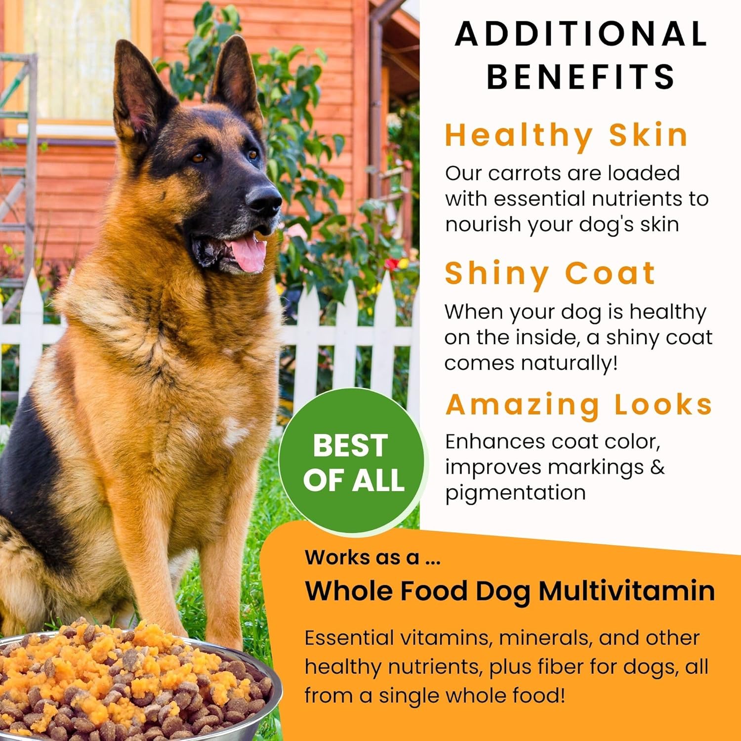 Olewo Original Carrots for Dogs - Fiber-Rich Digestive Dog Food Topper, Skin & Coat Support, Whole Food Multivitamin, Gut Health Boost - 2.2 lbs