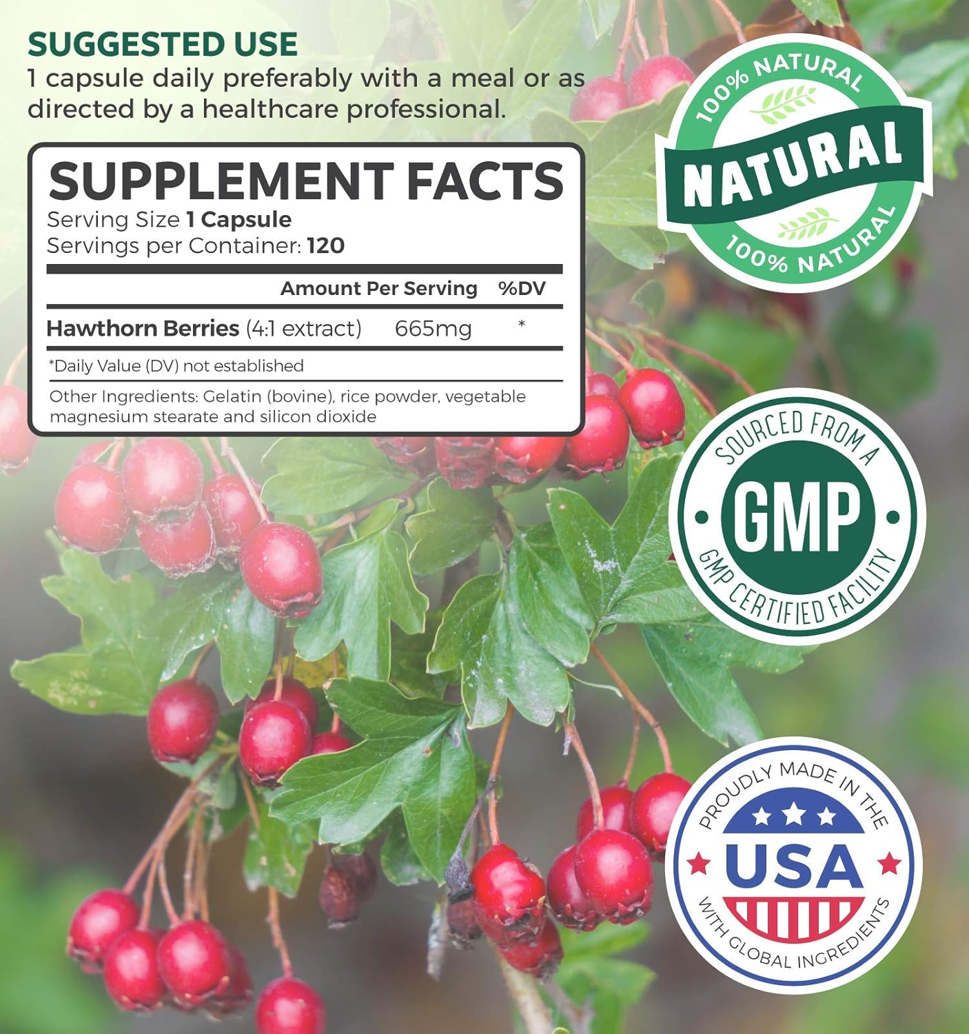 Olive Leaf Extract & Hawthorn Berry Bundle - High Quality Herbs - 20% Oleuropein Olive Leaf Extract & 4:1 Hawthorn Berry Extract - 2660mg Fresh Berries (120 Capsules)