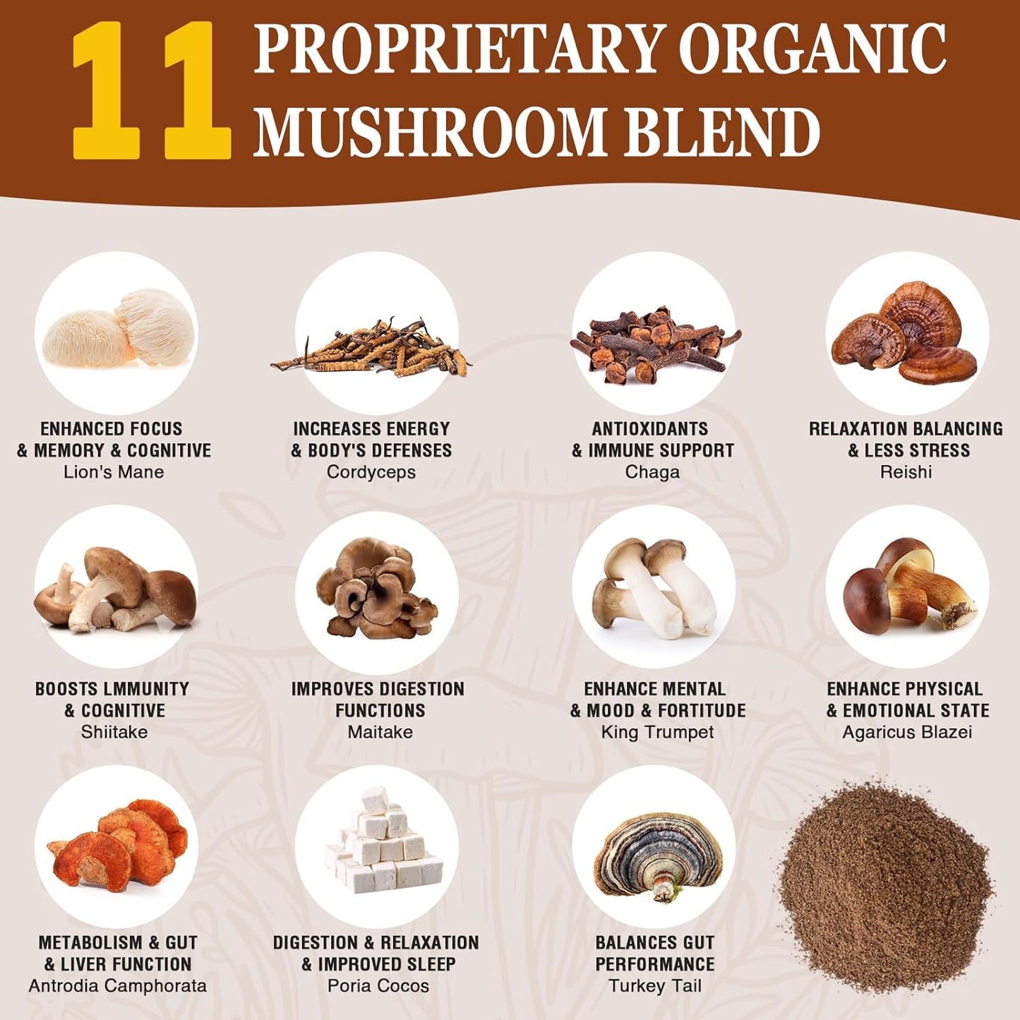 OLOBIO Mushroom Coffee Blend with 11 Organic Mushrooms, Adaptogens, Probiotics - Lion's Mane, Chaga, Reishi, Cordyceps, Instant Coffee for Focus, Energy, Gut Health, Digestion, Immunity - 4 Packs