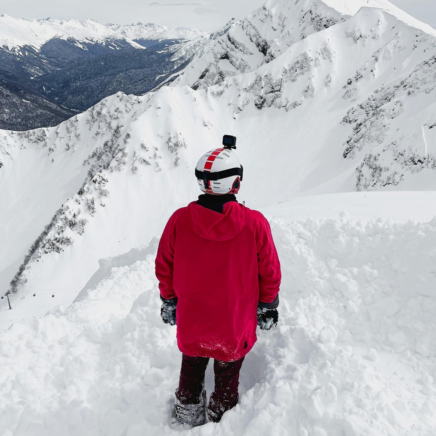 OM Mushroom Superfood Brain Fuel+ Gummies - Memory & Focus Support with Lion's Mane & Reishi - Raspberry Supplements, 28 Servings