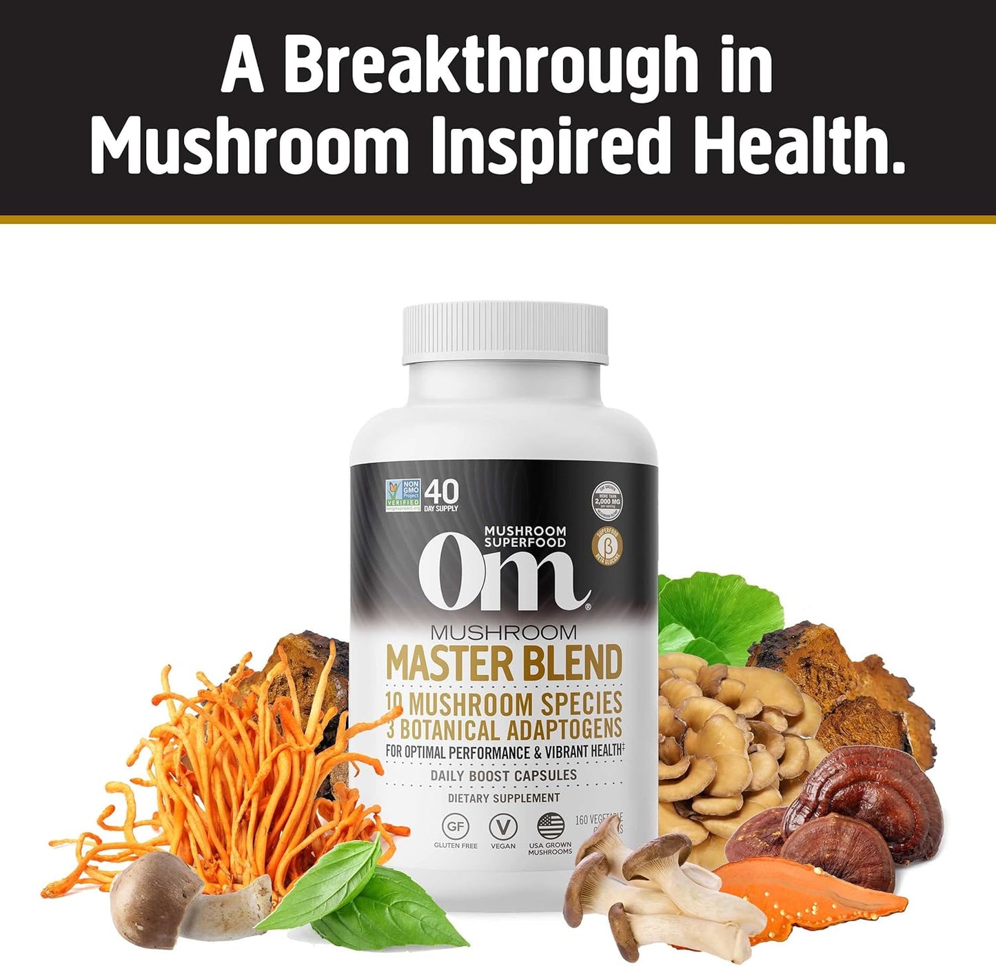 OM Mushroom Superfood Capsule Bundle - Master Blend & Lion's Mane, 340 Capsules