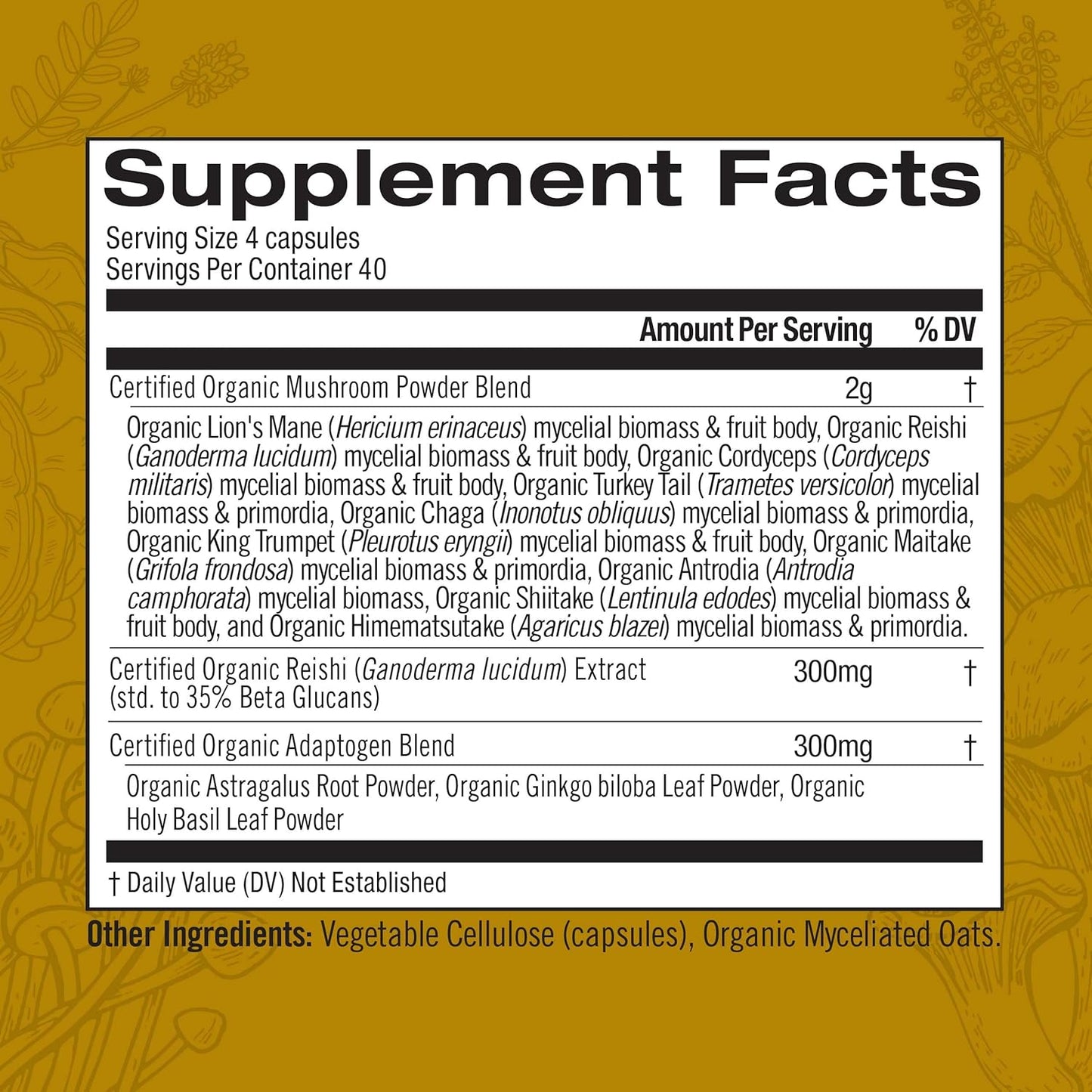 OM Mushroom Superfood Capsule Bundle - Master Blend & Lion's Mane, 340 Capsules